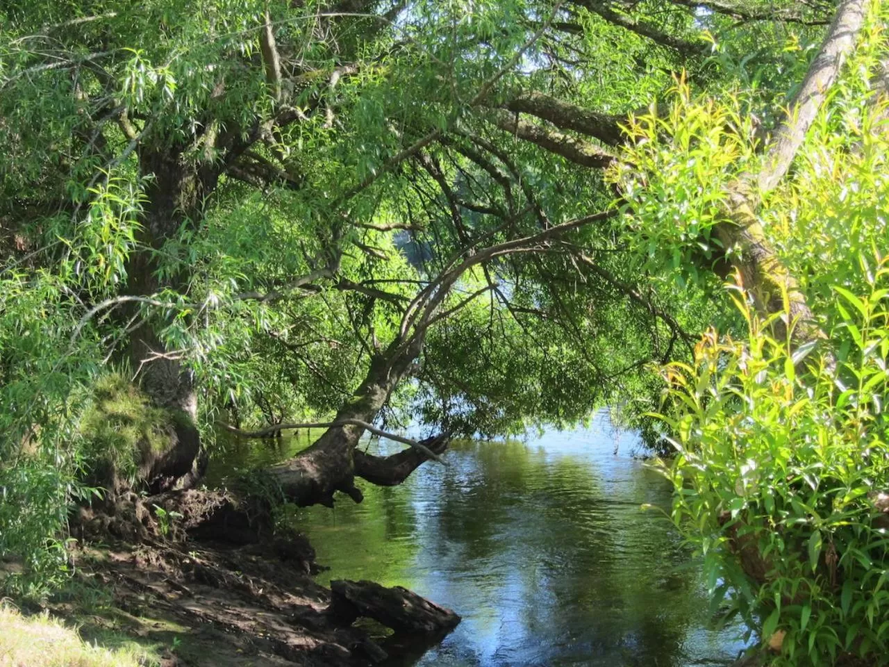 Property building, Natural Landscape in On The River