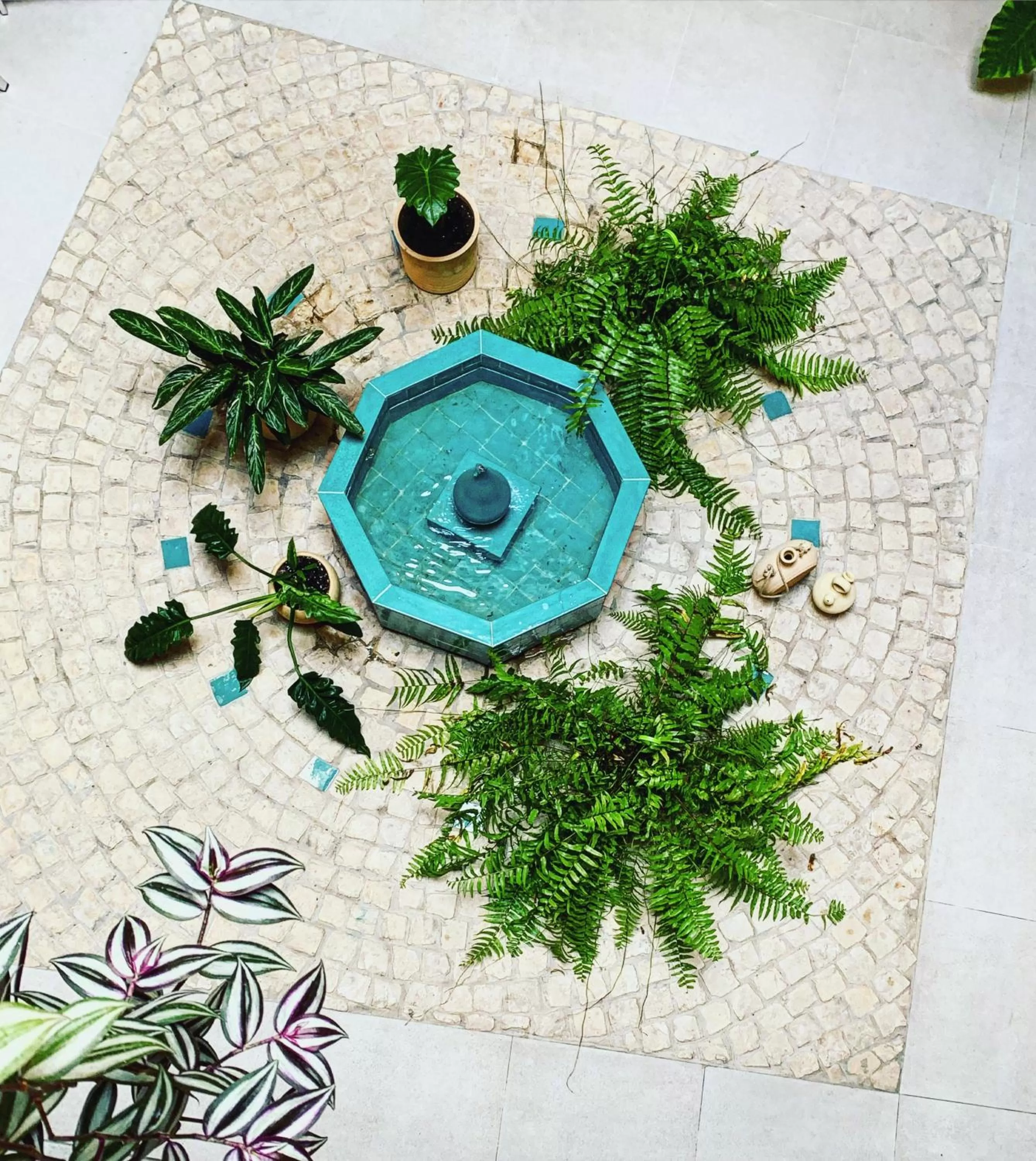 Garden view in Casa 95 Sevilla