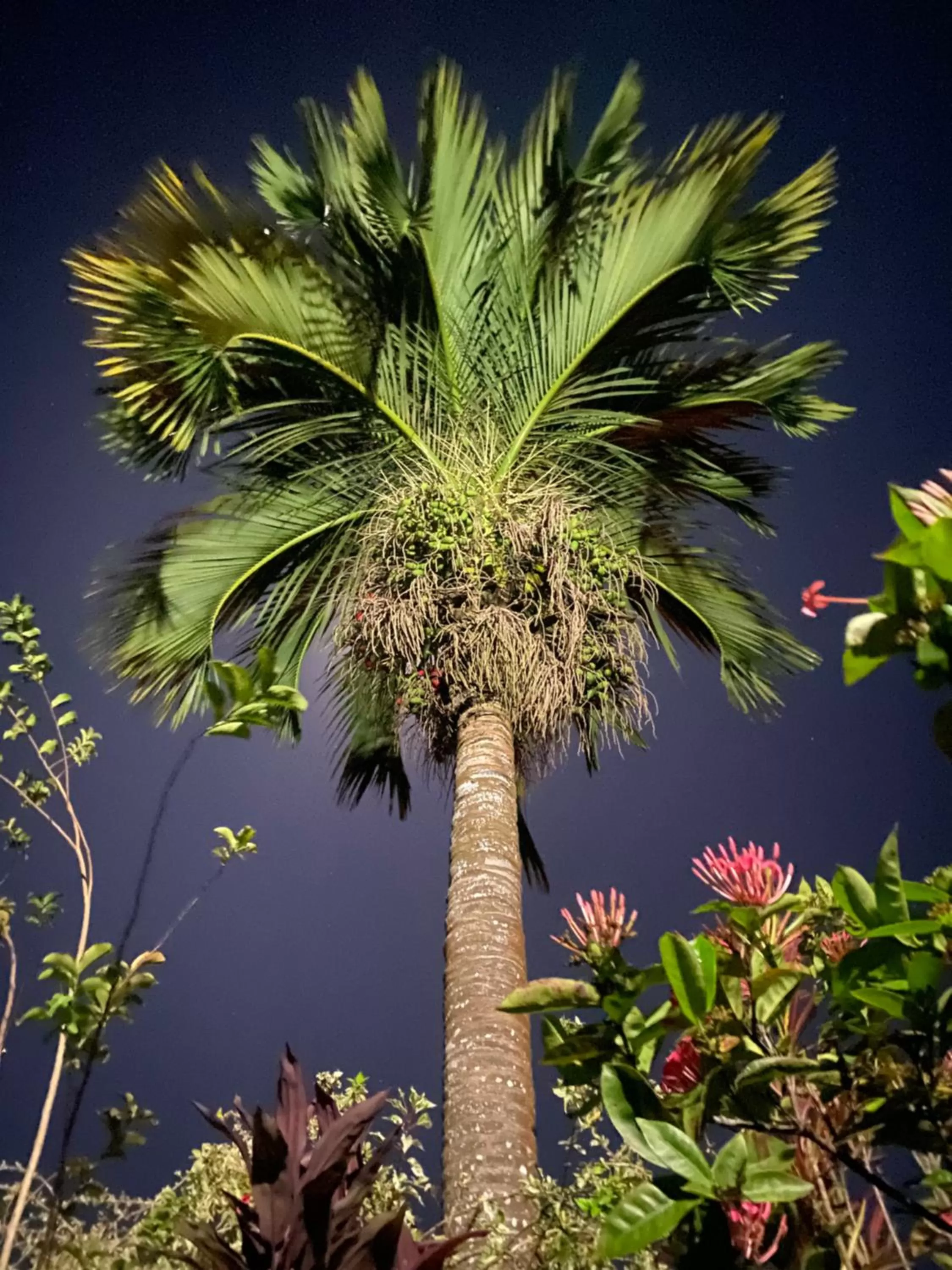 Night in Hotel Santo Vanuatu