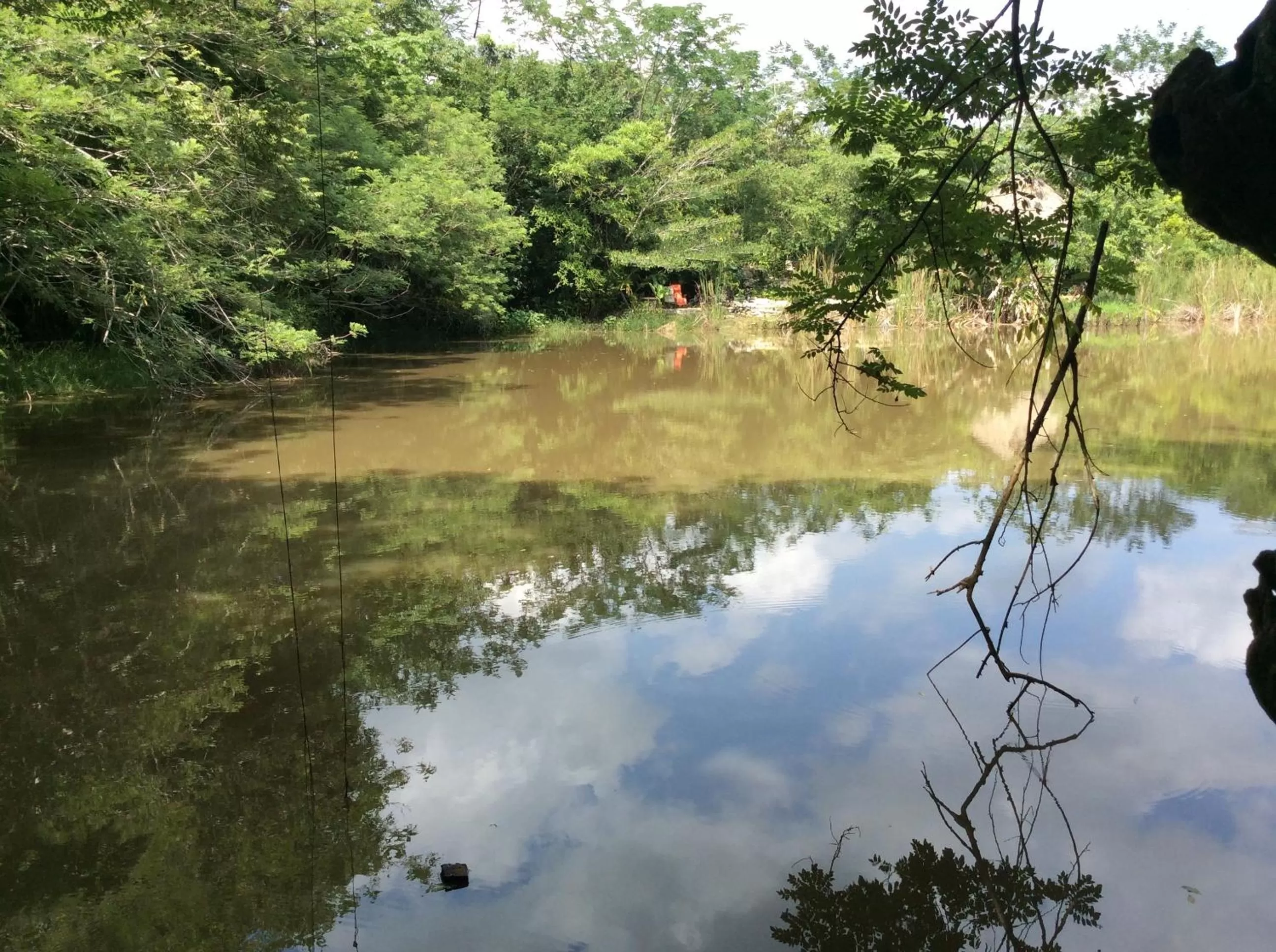 Garden in Hotel Boutique Quinta Chanabnal