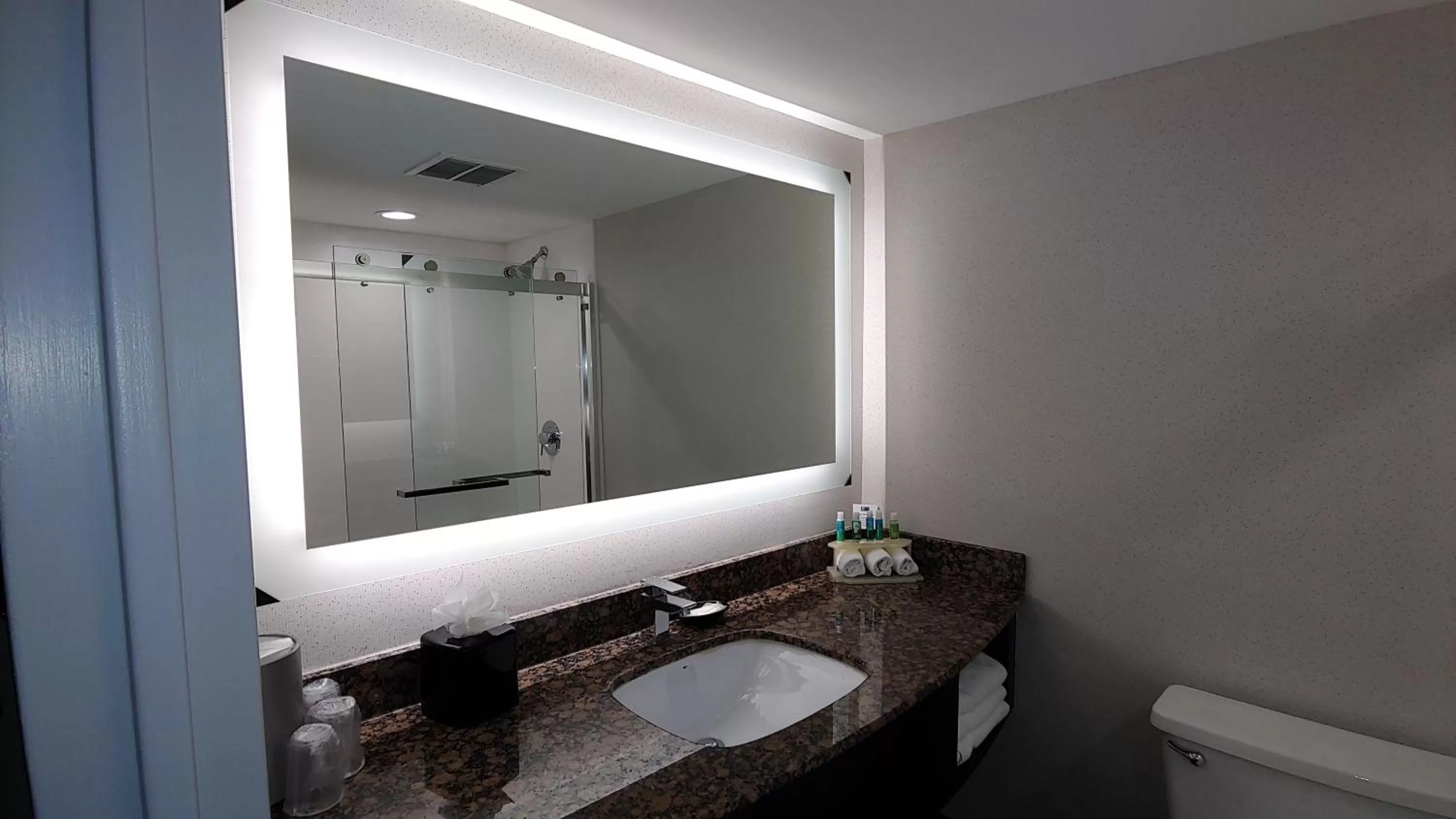 Bathroom in Holiday Inn Express Schaumburg-Rolling Meadows by IHG