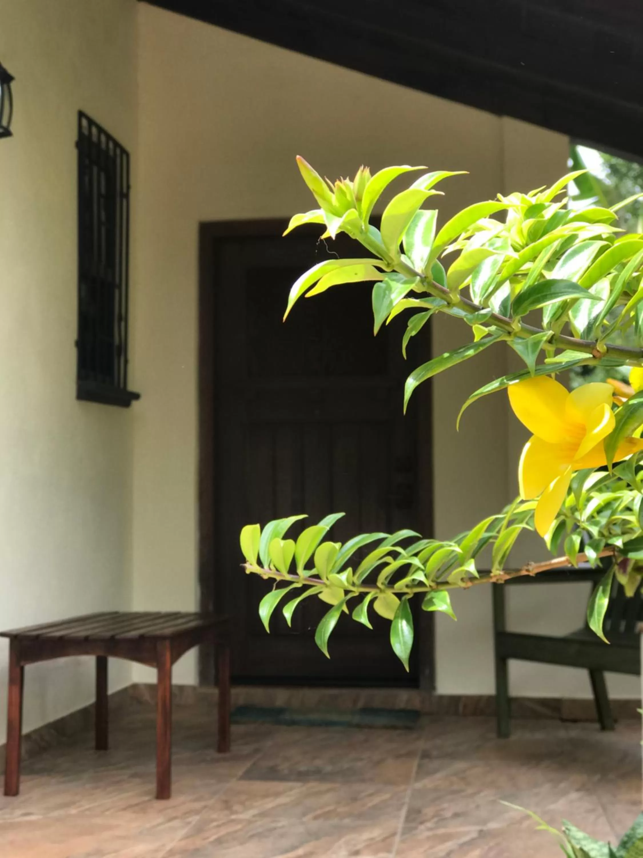 Facade/entrance in Sattva Land