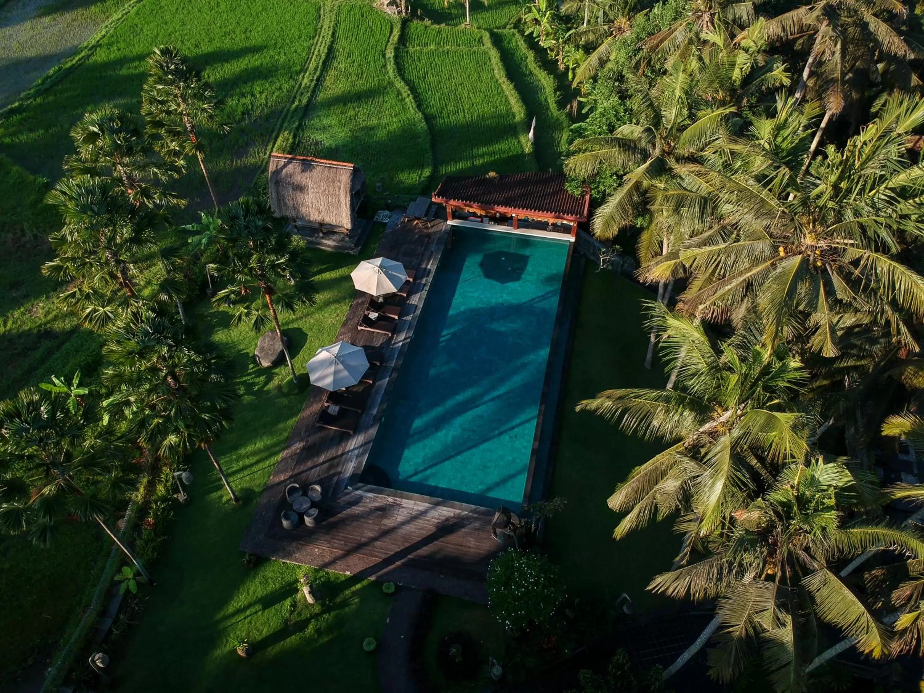 Swimming pool in The Artini Dijiwa Ubud