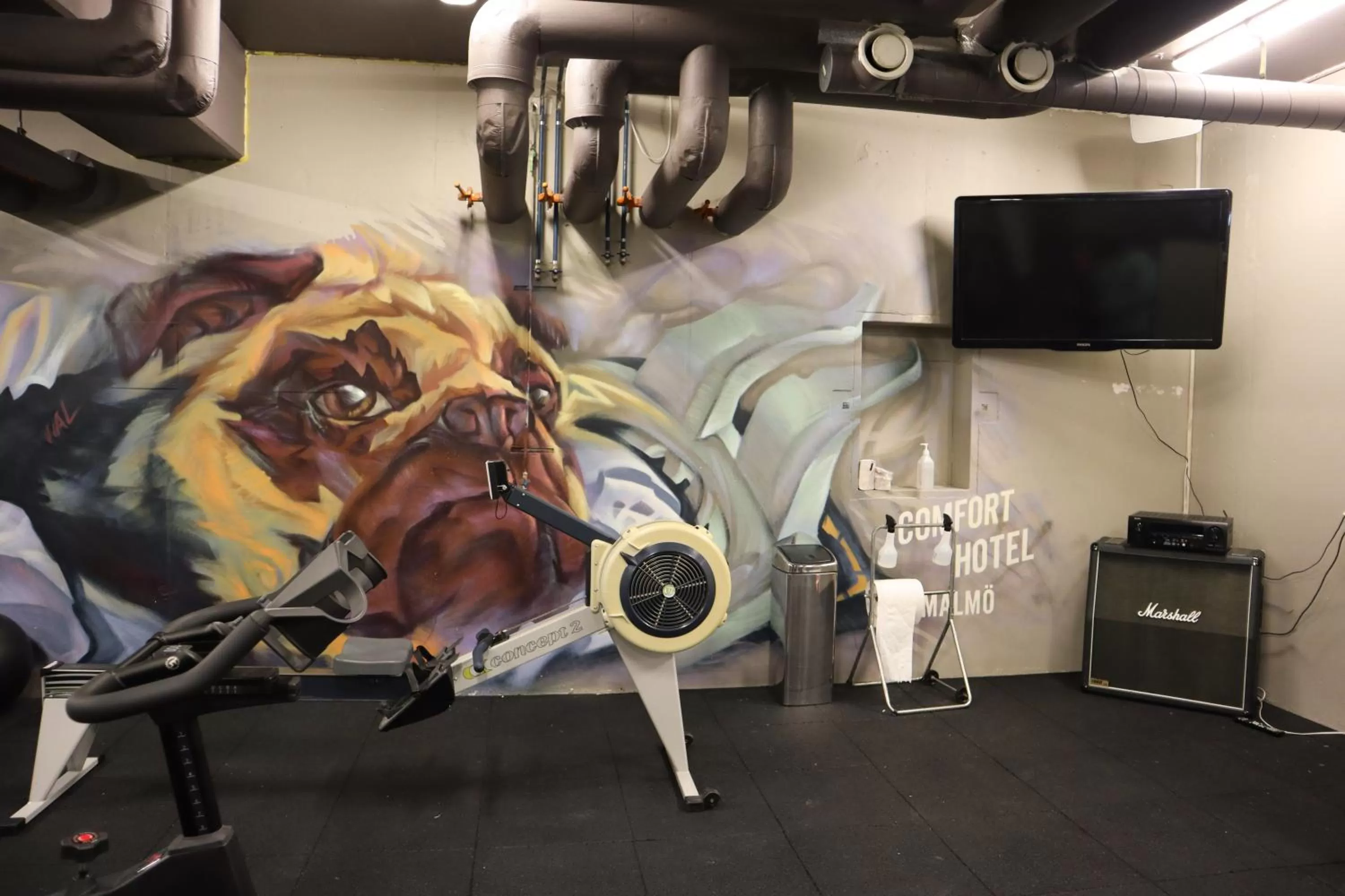 Fitness centre/facilities in Comfort Hotel Malmö