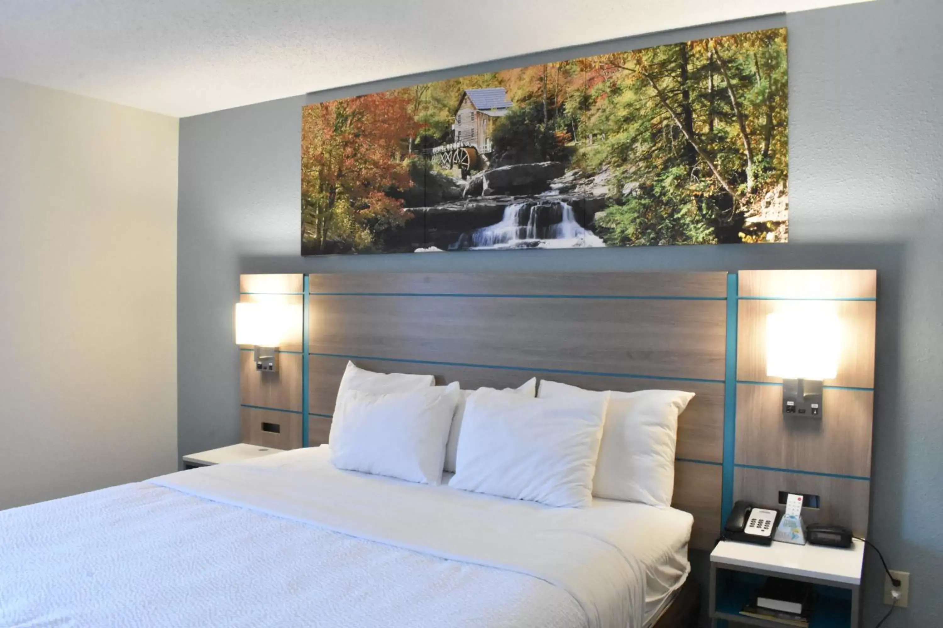 King Room - Disability Access/Non-Smoking in Clarion Pointe Vidalia - Lyons West King Room - Disability Access/Non-Smoking in Clarion Pointe Vidalia - Lyons West