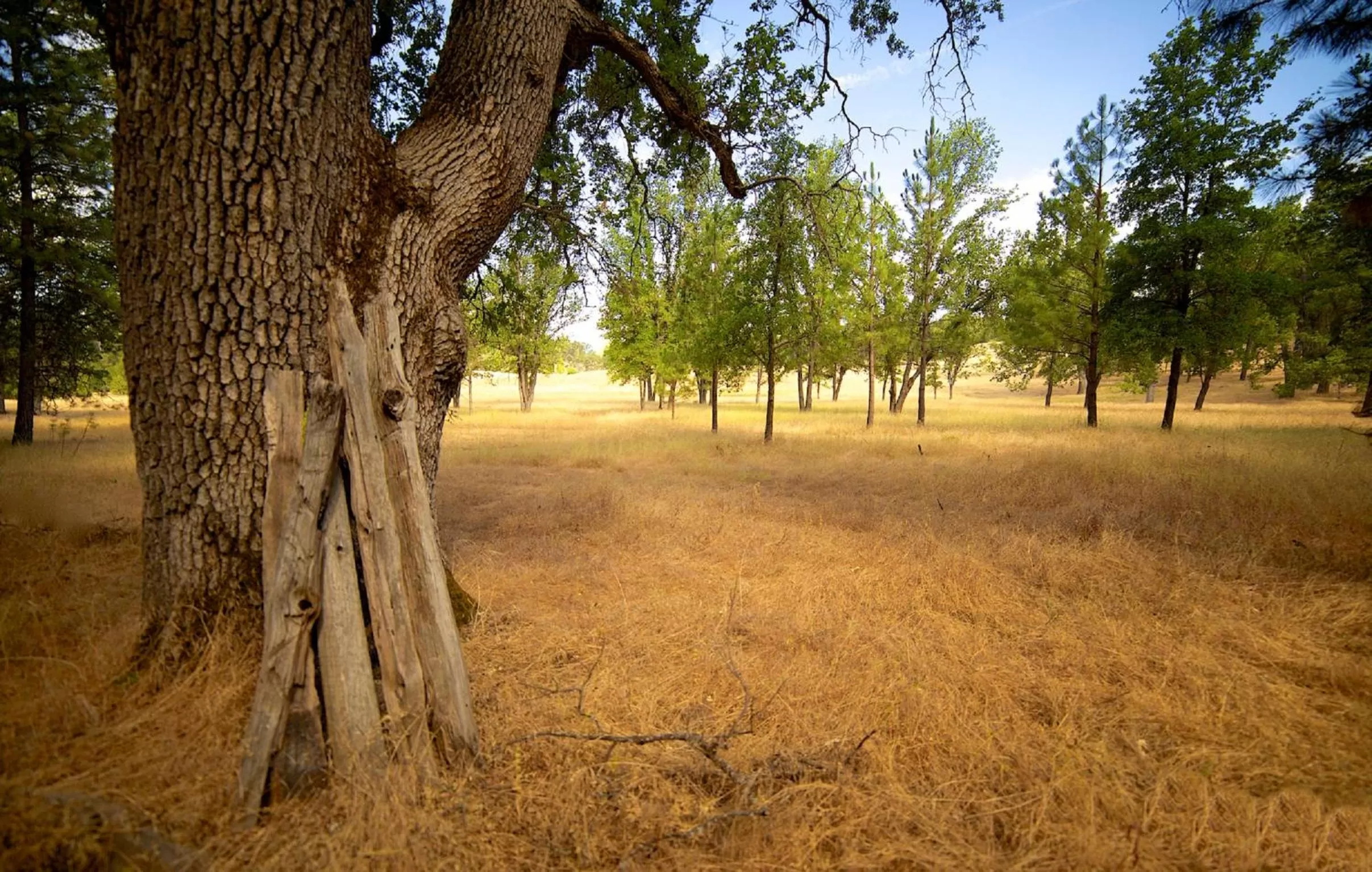 Hiking in Red Tail Ranch