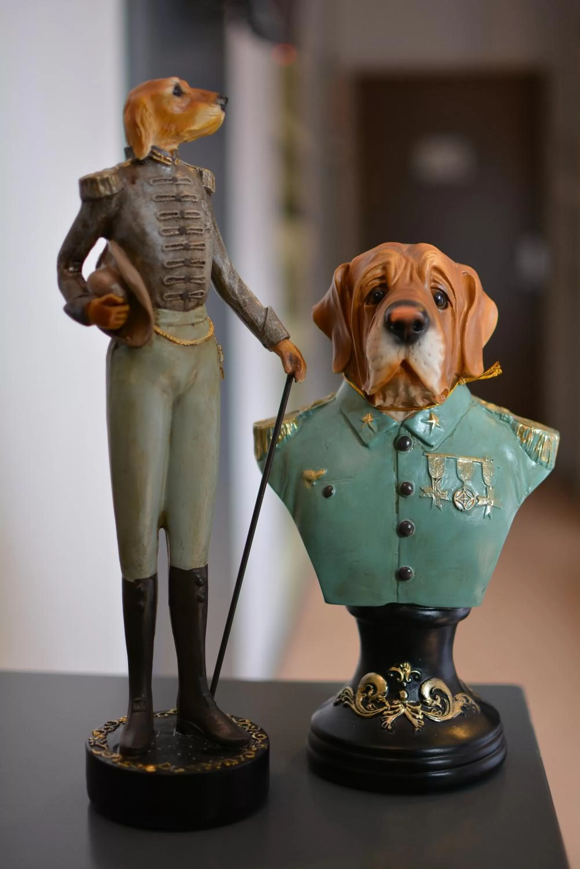 Pets in King Alexander