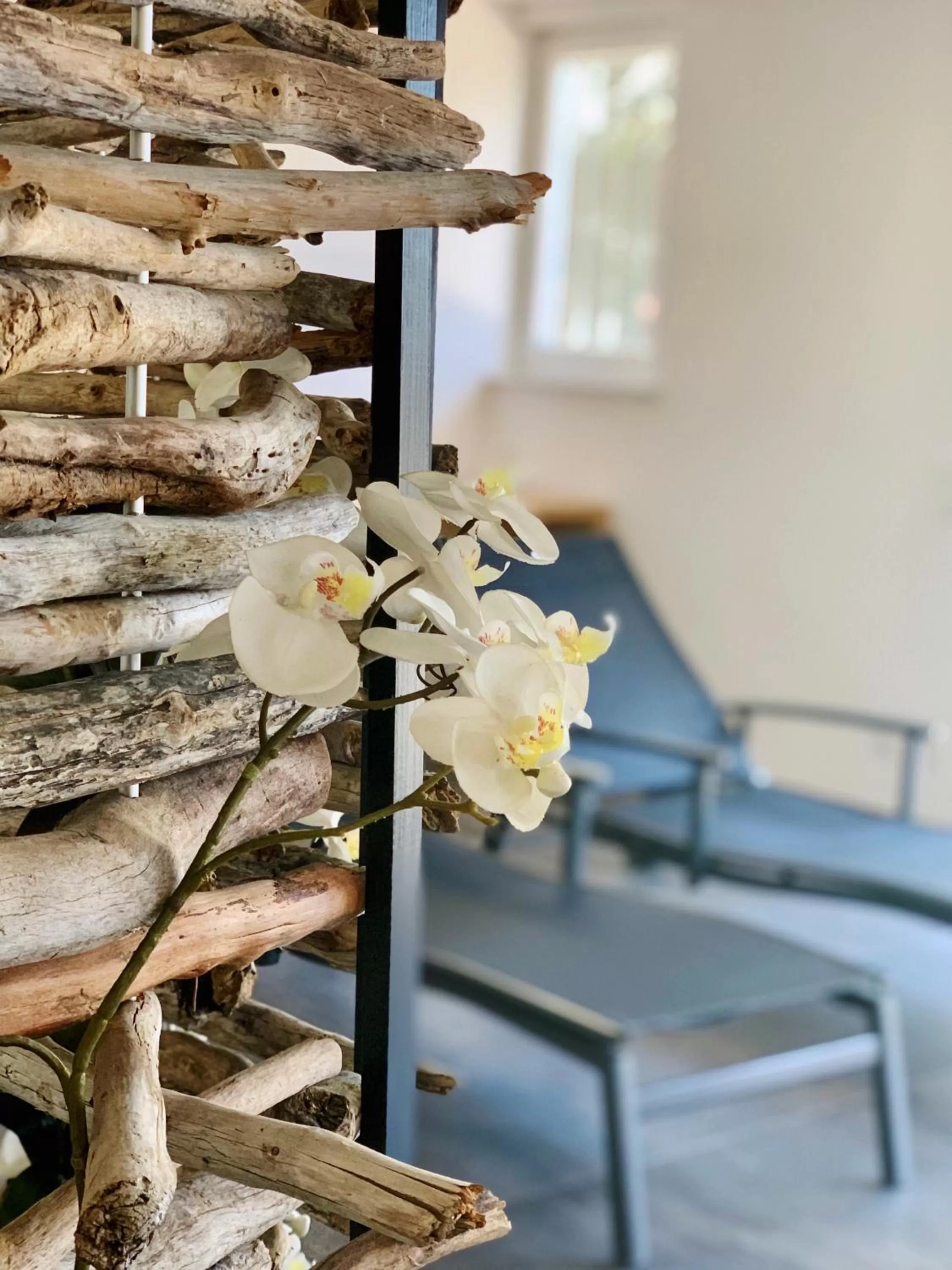 Swimming pool in Hotel Momentum