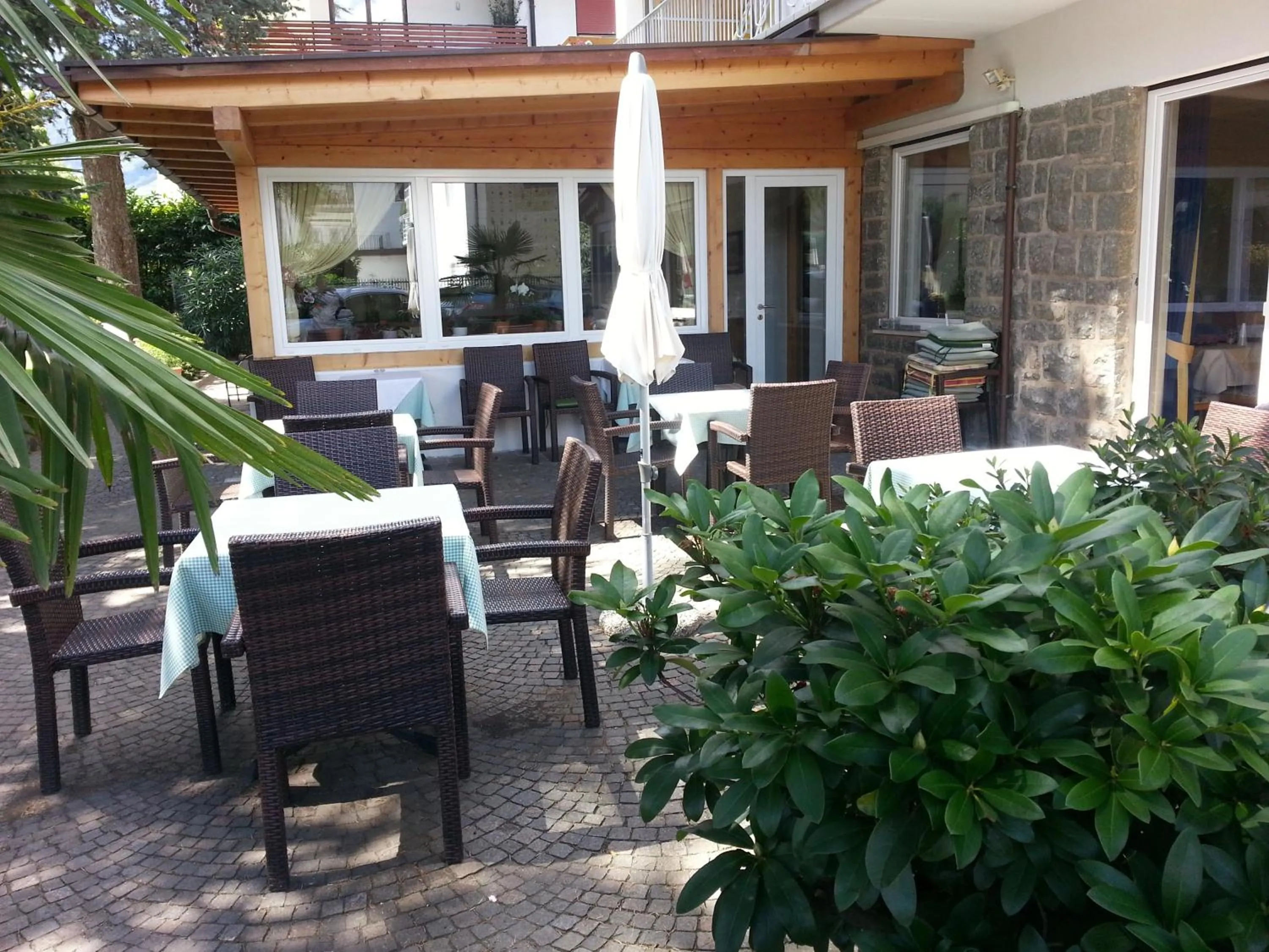 Garden in Hotel Jasmin