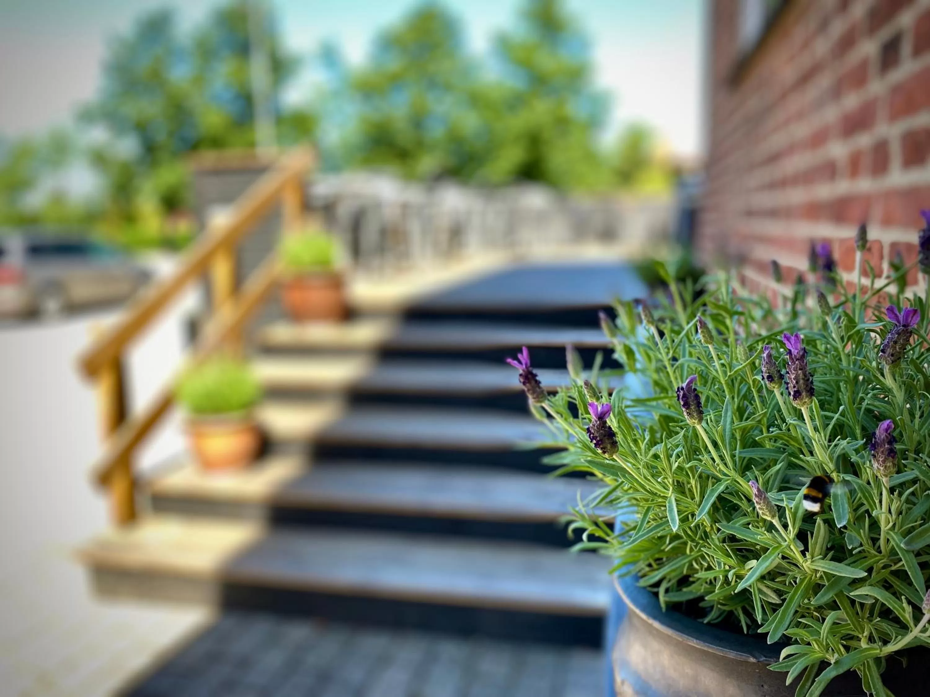 Facade/entrance in Taastrup Park Hotel