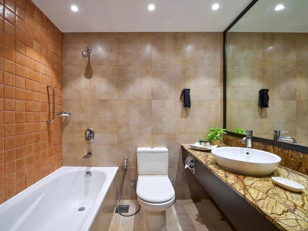 Bathroom in Fariyas Resort Lonavala