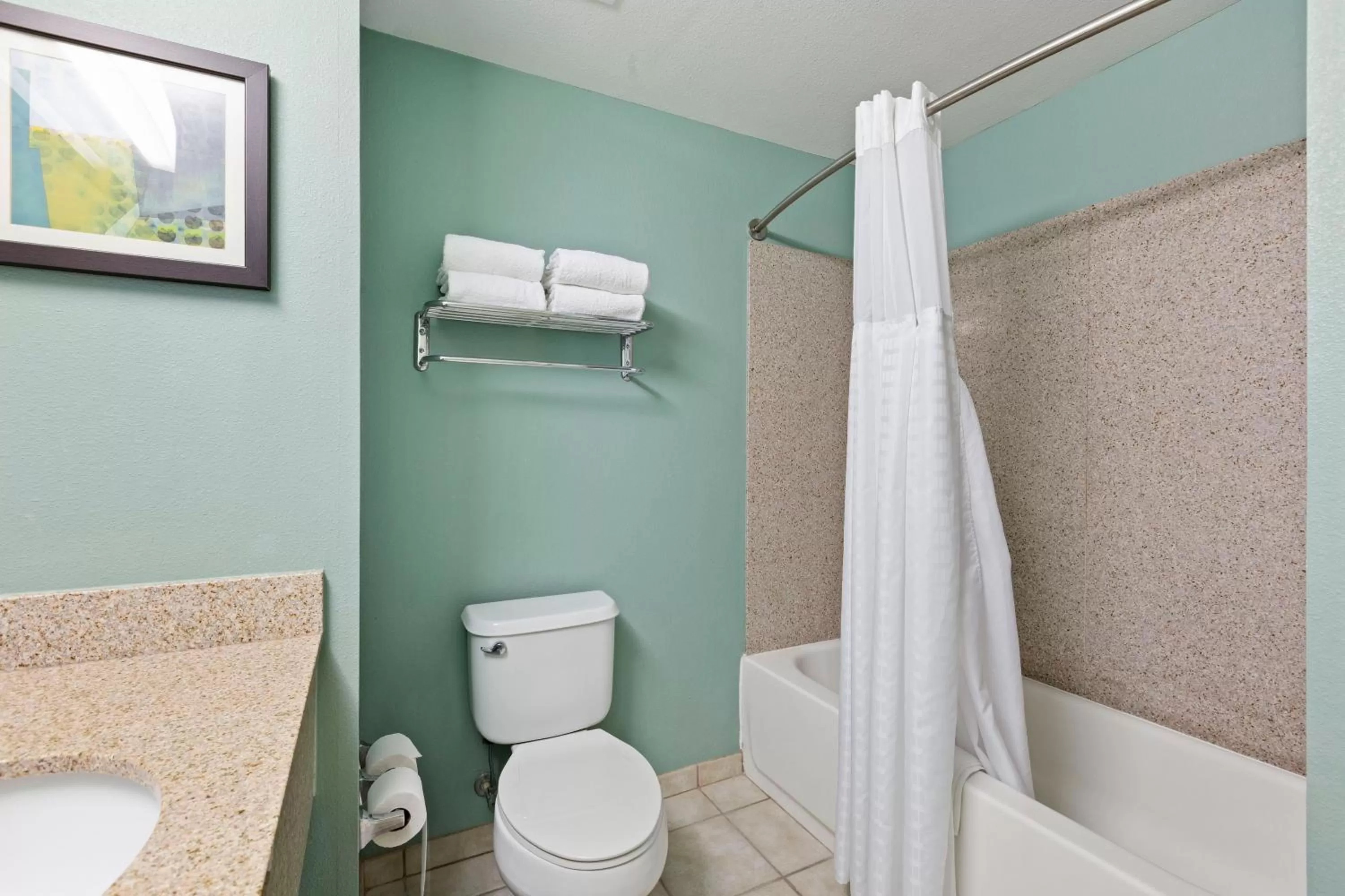 Bathroom in Extended Stay America Premier Suites - Lakeland - I-4