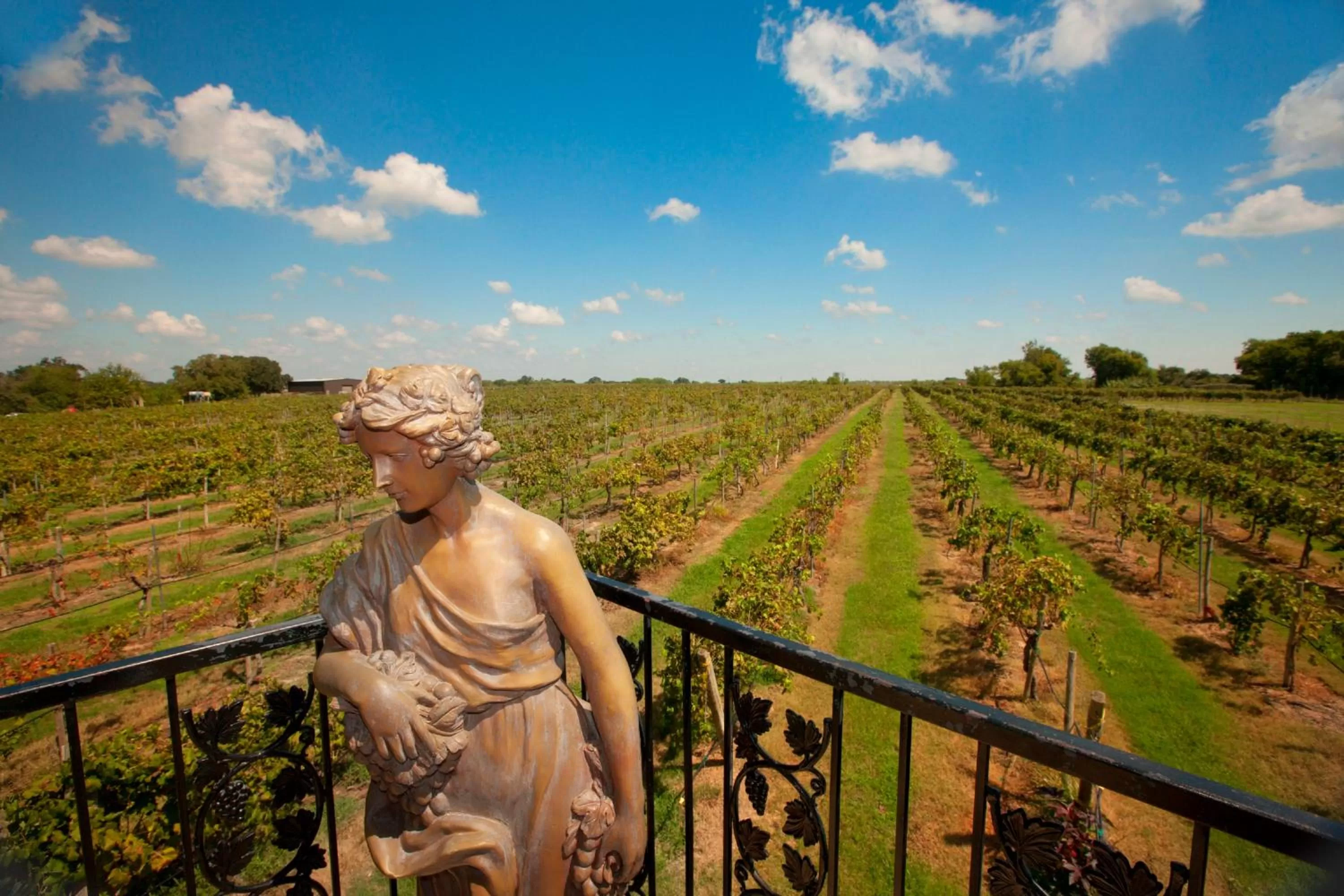 Nearby landmark in Holiday Inn Express & Suites Bryan - College Station by IHG