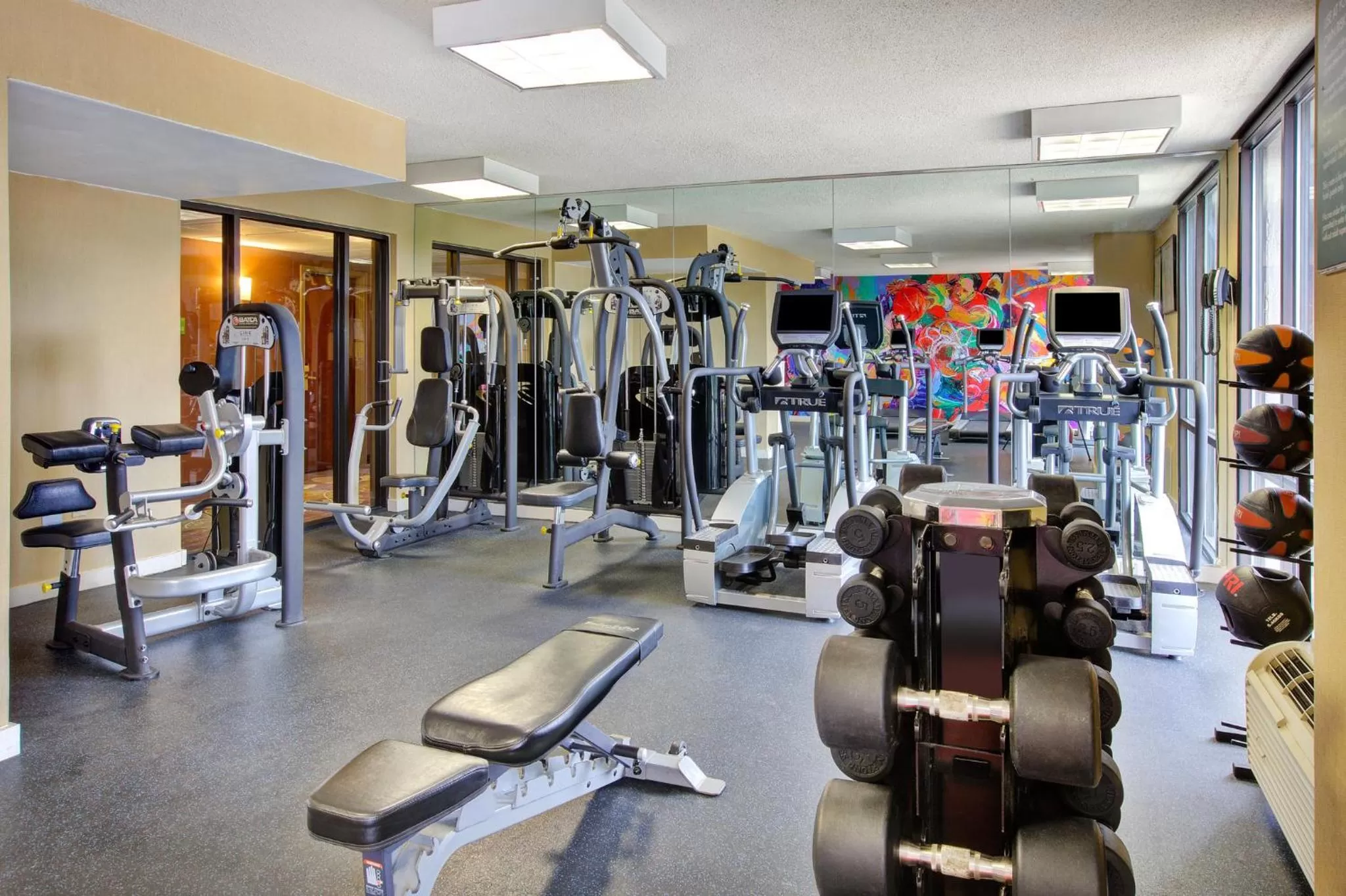 Fitness centre/facilities in Holiday Inn National Airport/Crystal City by IHG