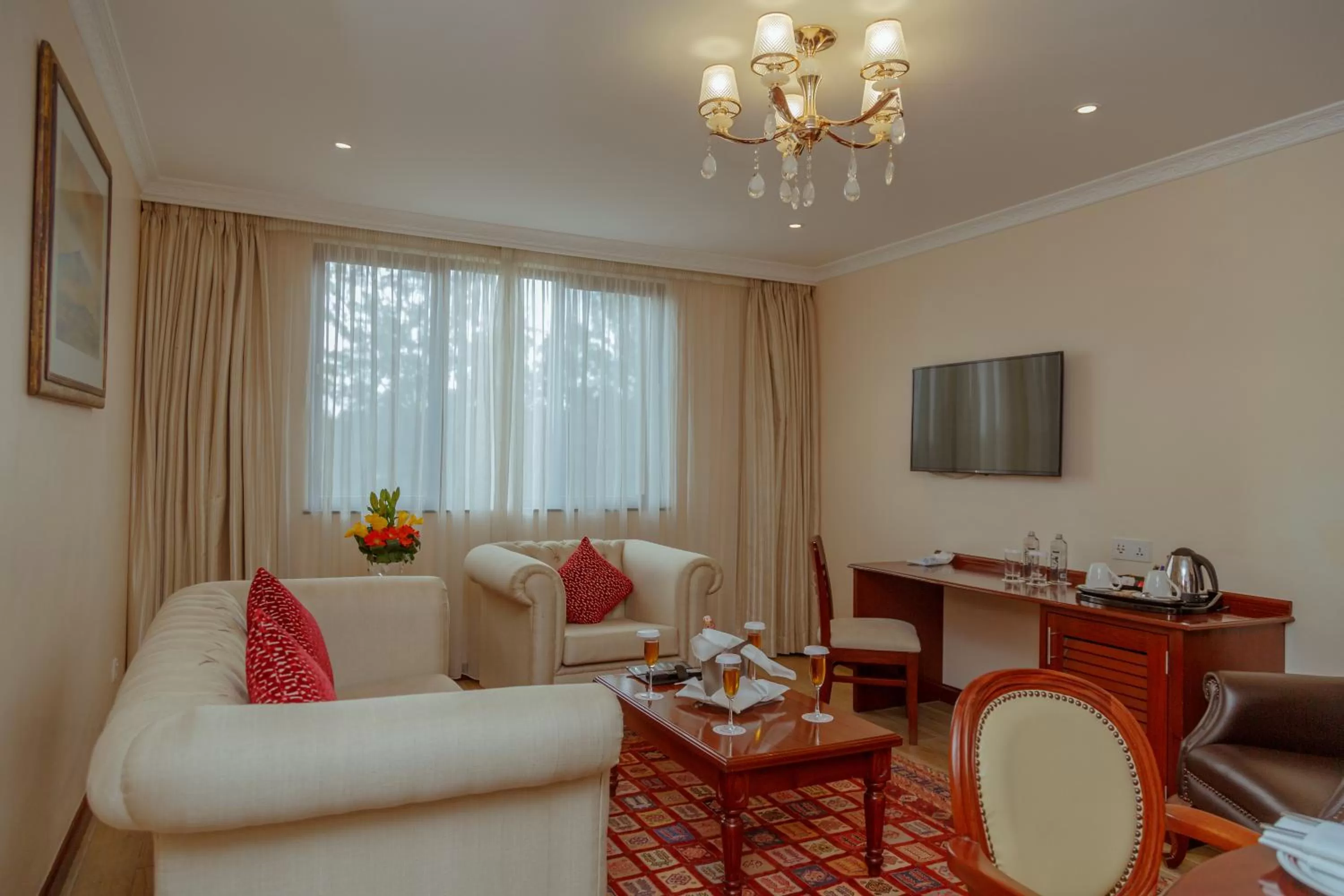 TV and multimedia in Sarova Woodlands Hotel and Spa