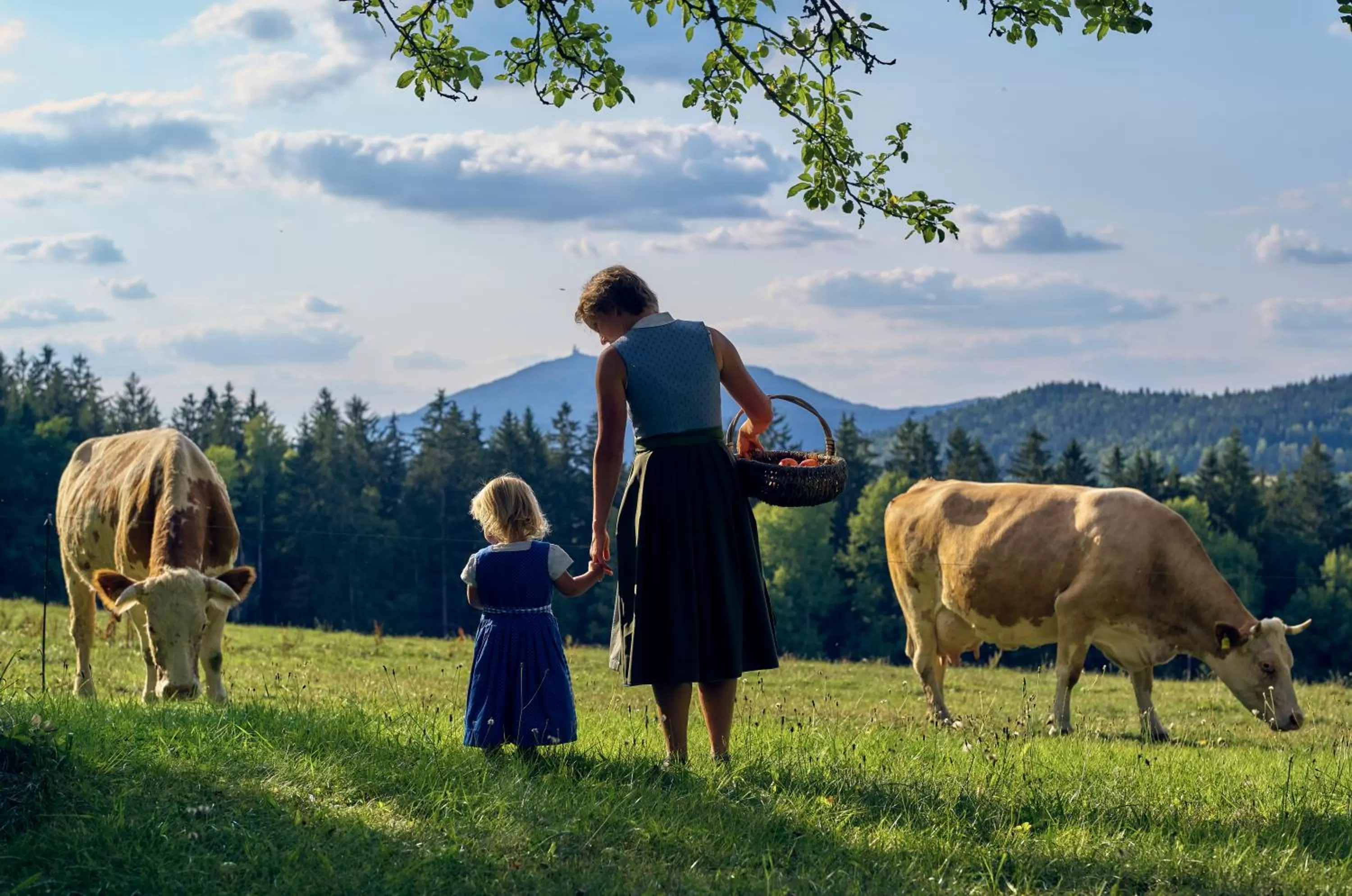 Natural landscape in Wander und Aktiv Hotel Rösslwirt