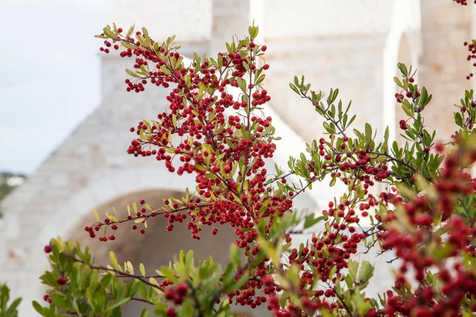 Property building in Ottolire Resort