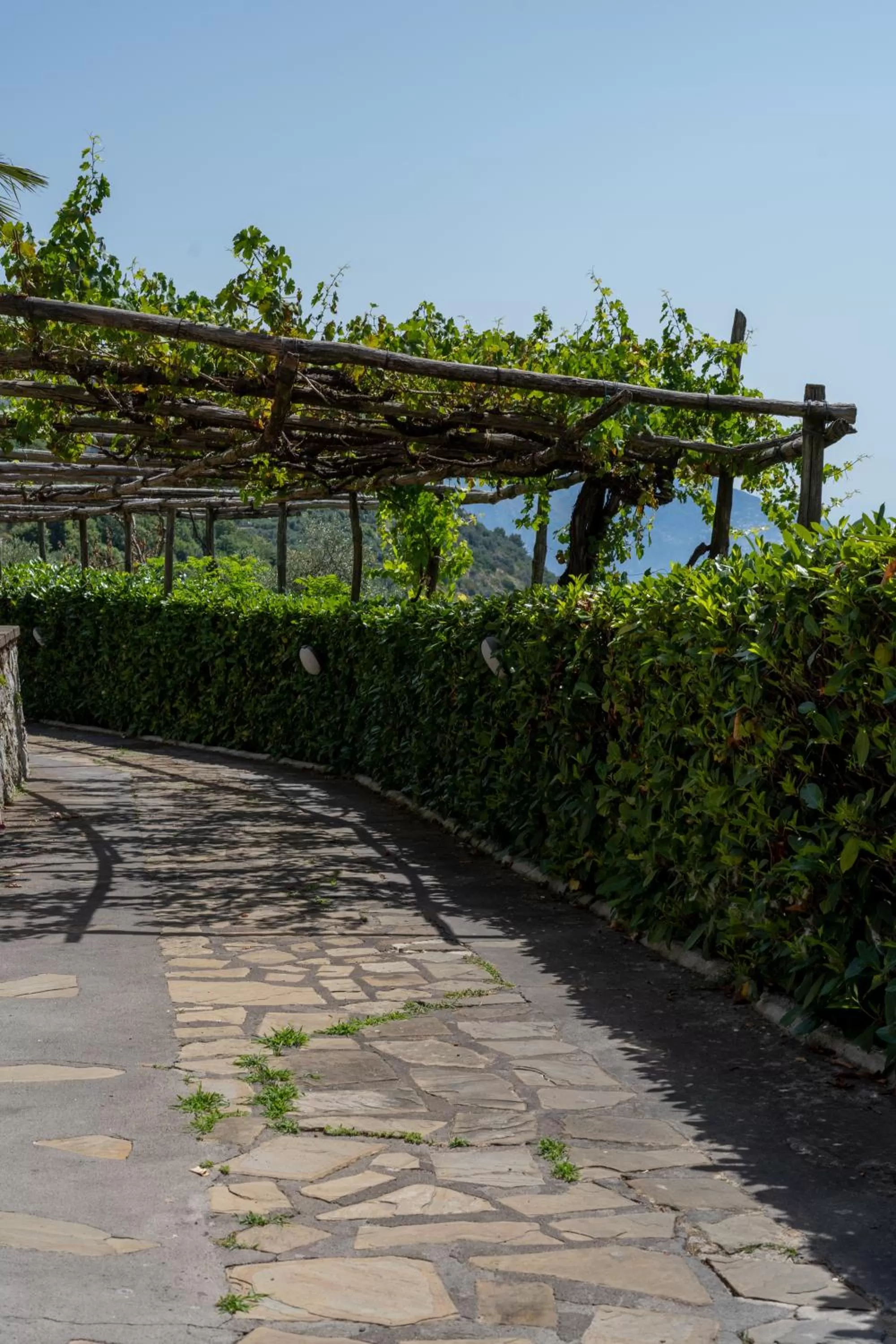 Villa Costanza sorrento B&b