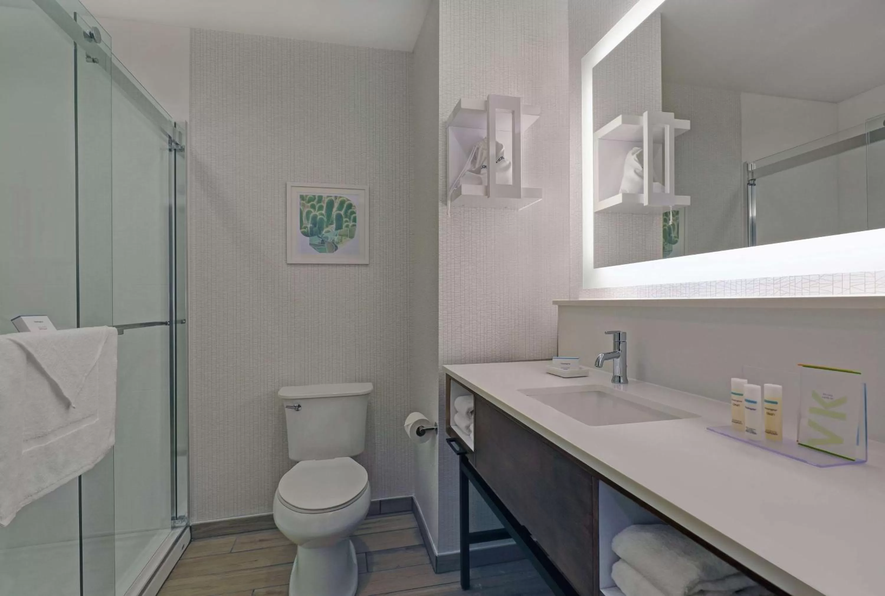 Bathroom in Hampton Inn Patterson, Ca