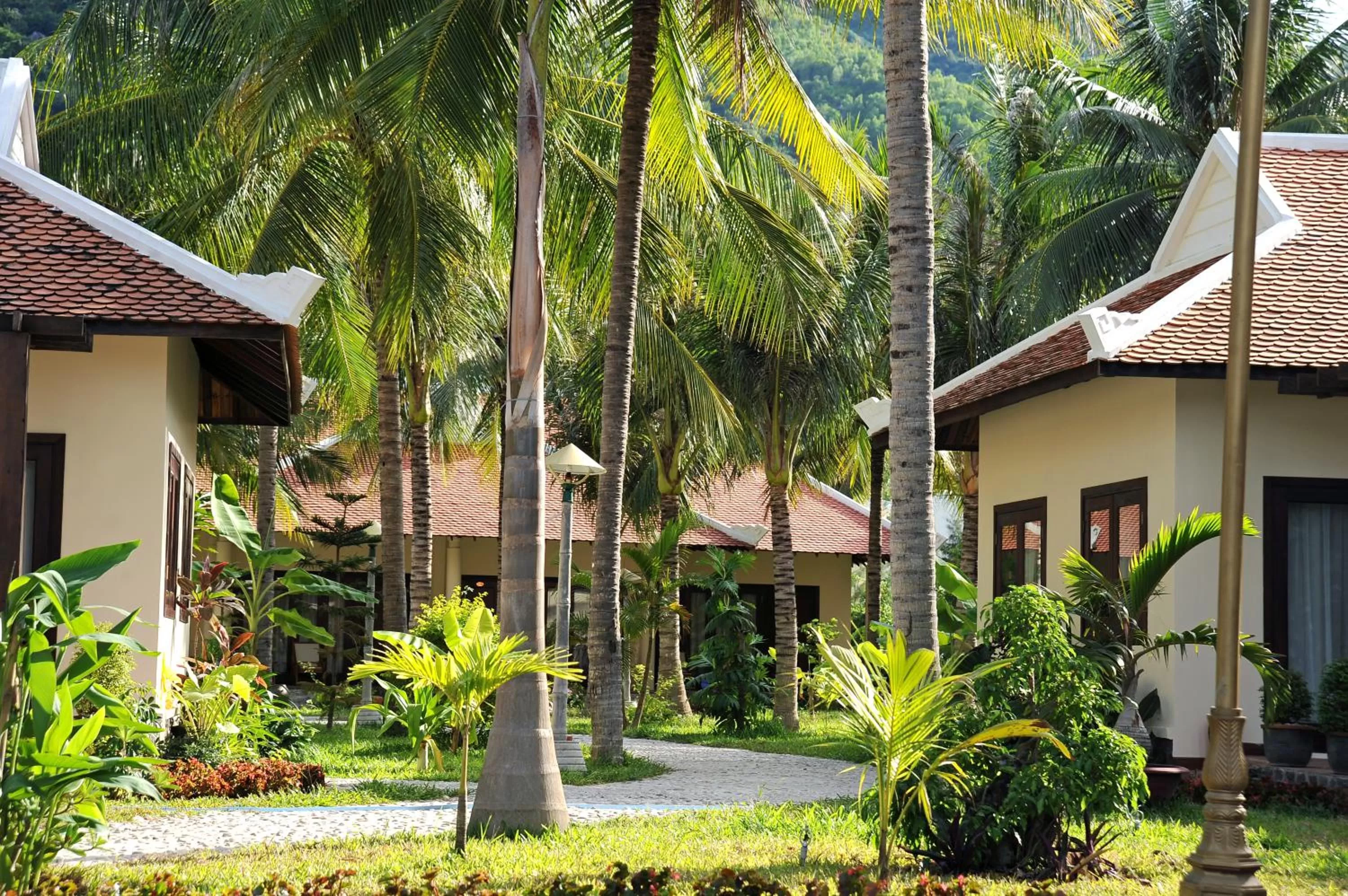 Natural landscape in Diamond Bay Resort & Spa