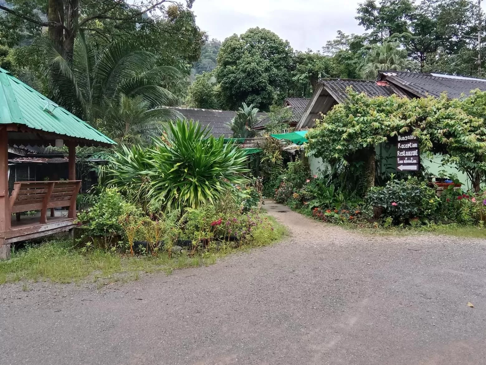 Tree Tops River Huts