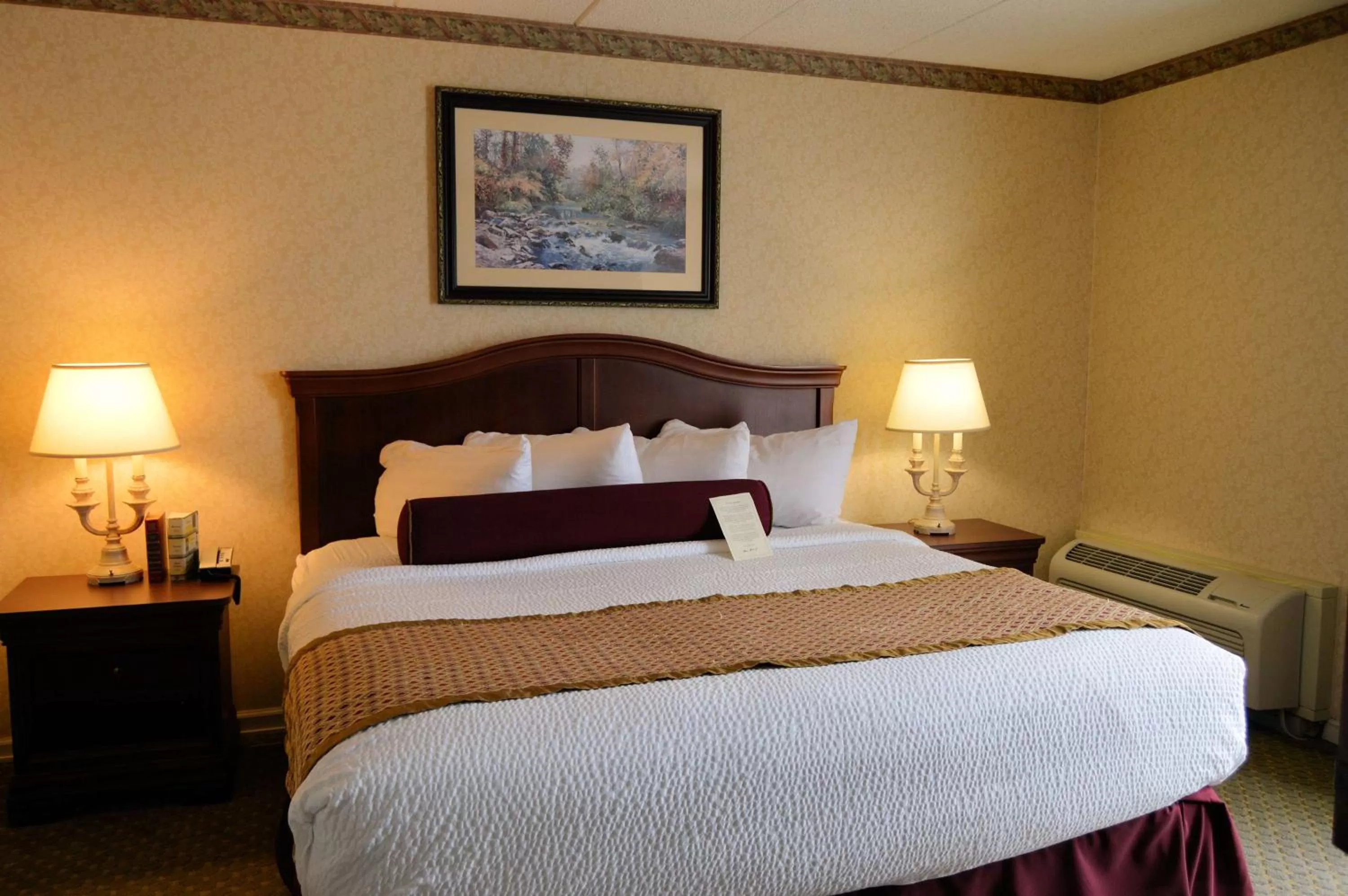 King Suite with Sofa Bed and Hot Tub - Non-Smoking in Best Western Plus Wilkes Barre Center City