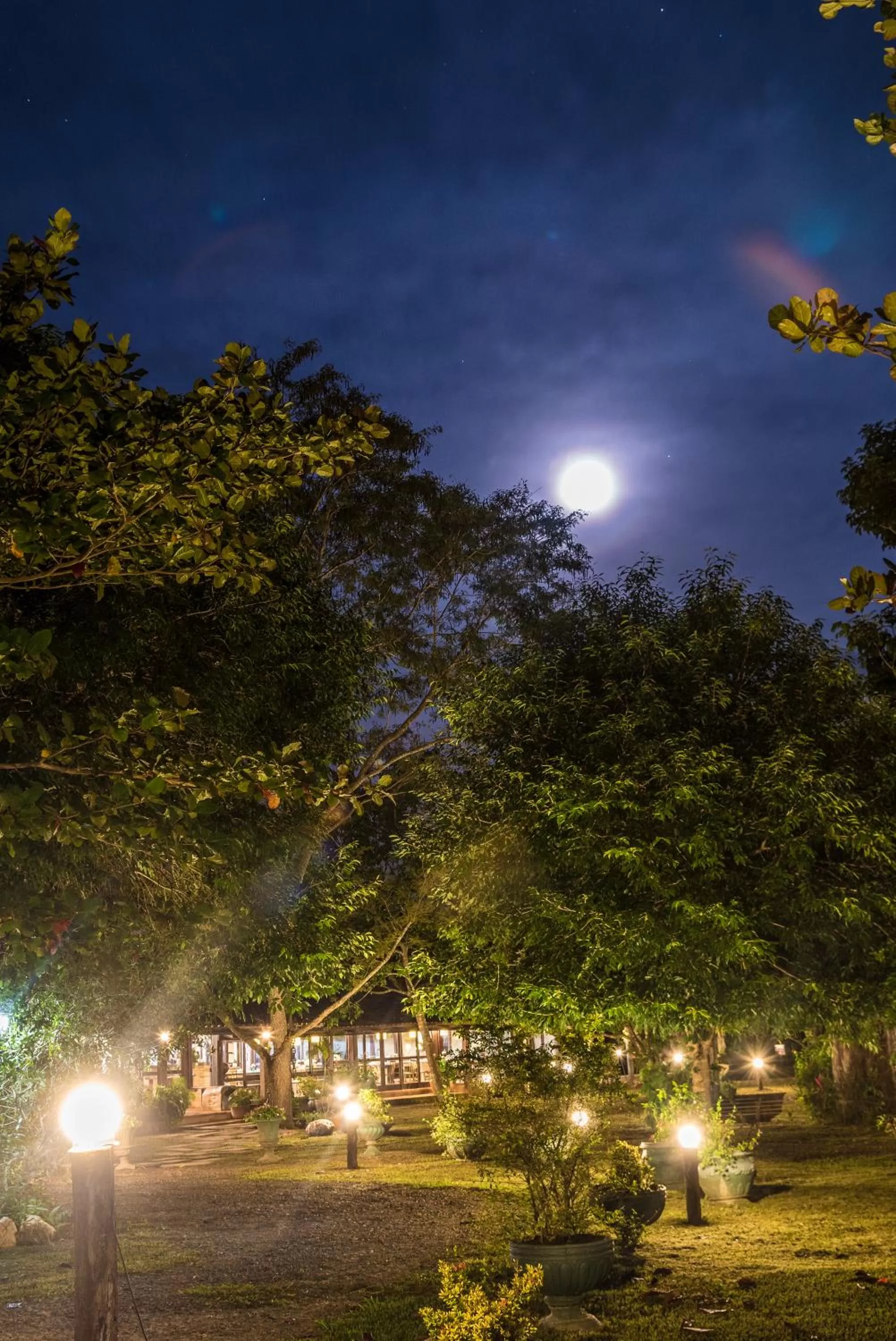 Facade/entrance in Hotel Santa Esmeralda