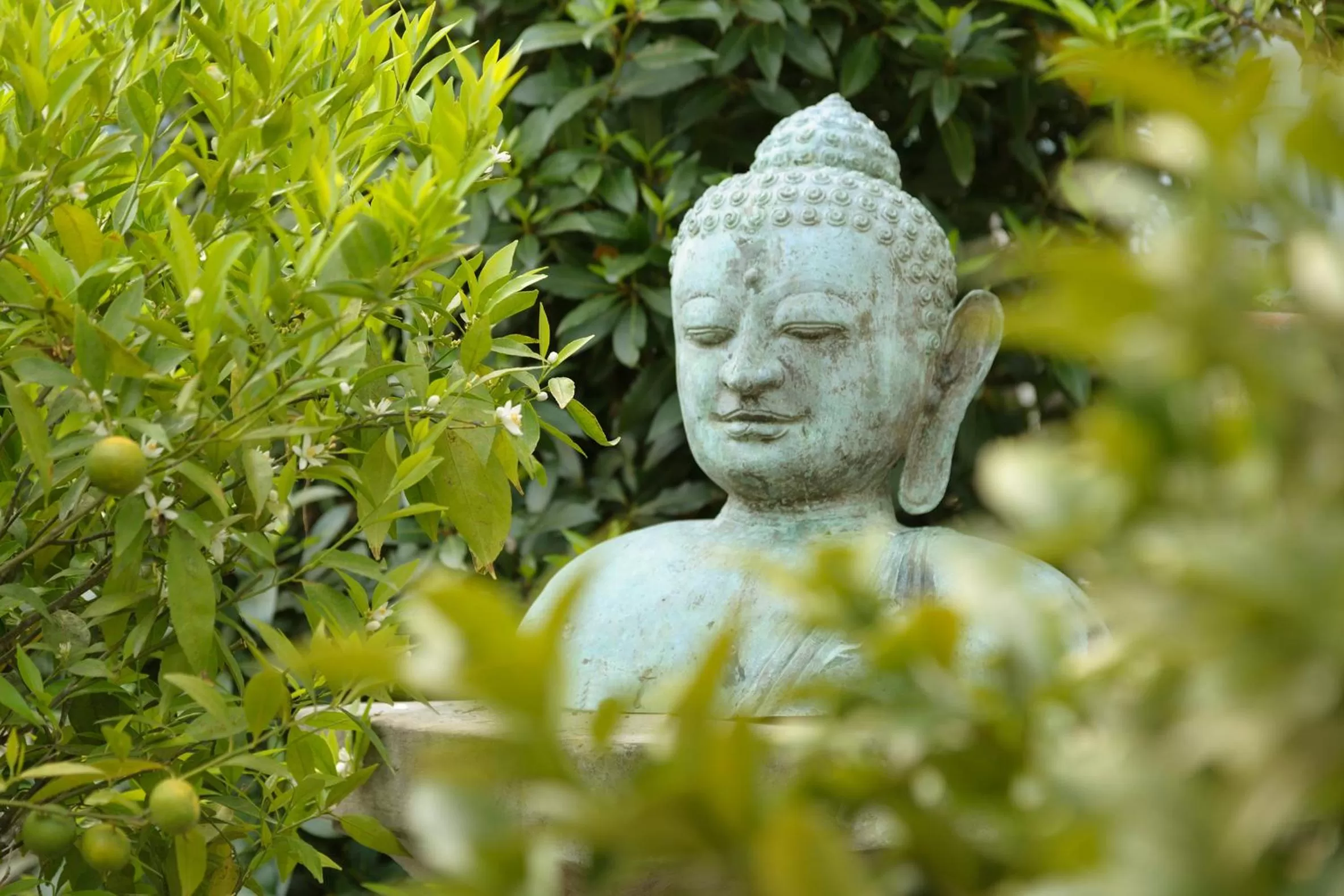 Other in Hotel Barleben am See