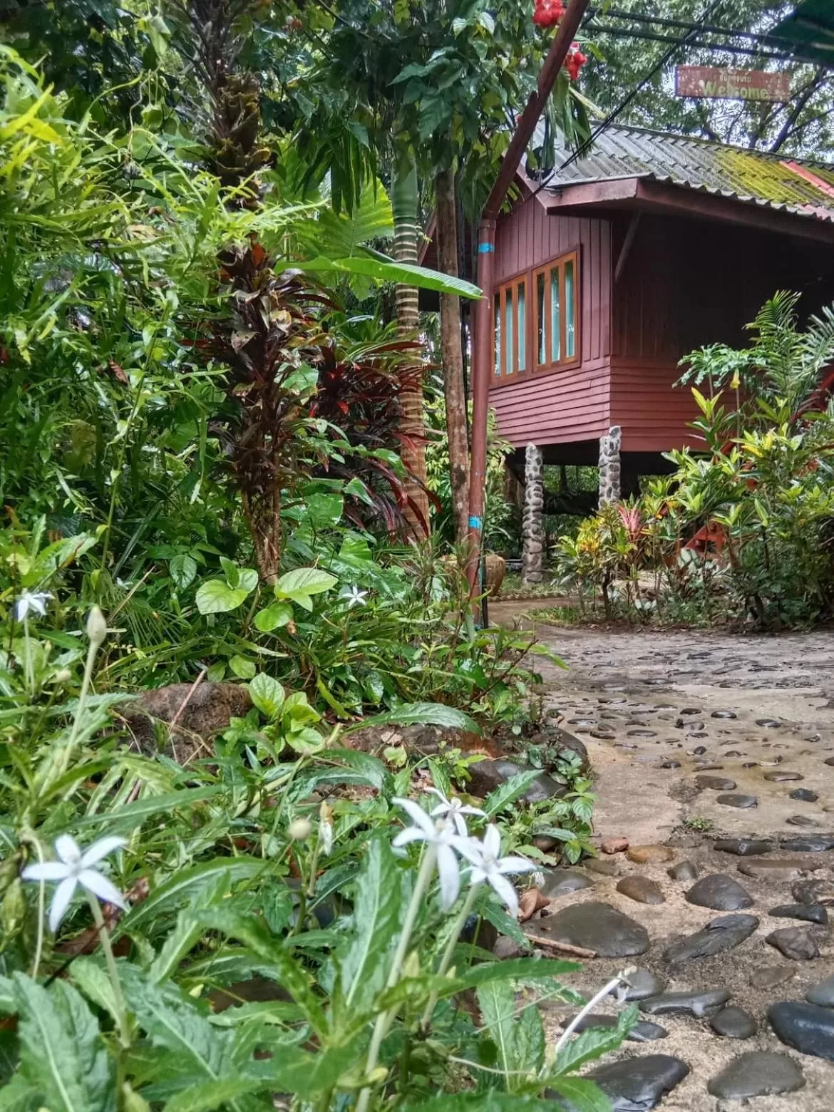 Tree Tops River Huts