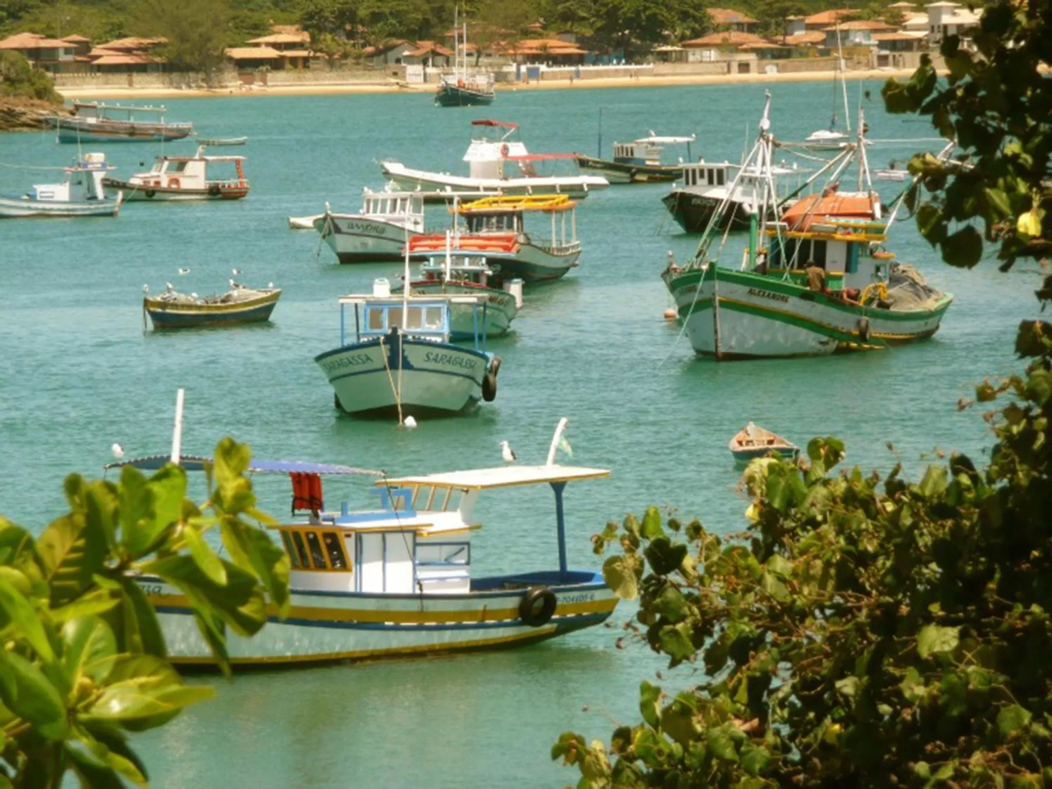 View (from property/room) in Pousada L'escale