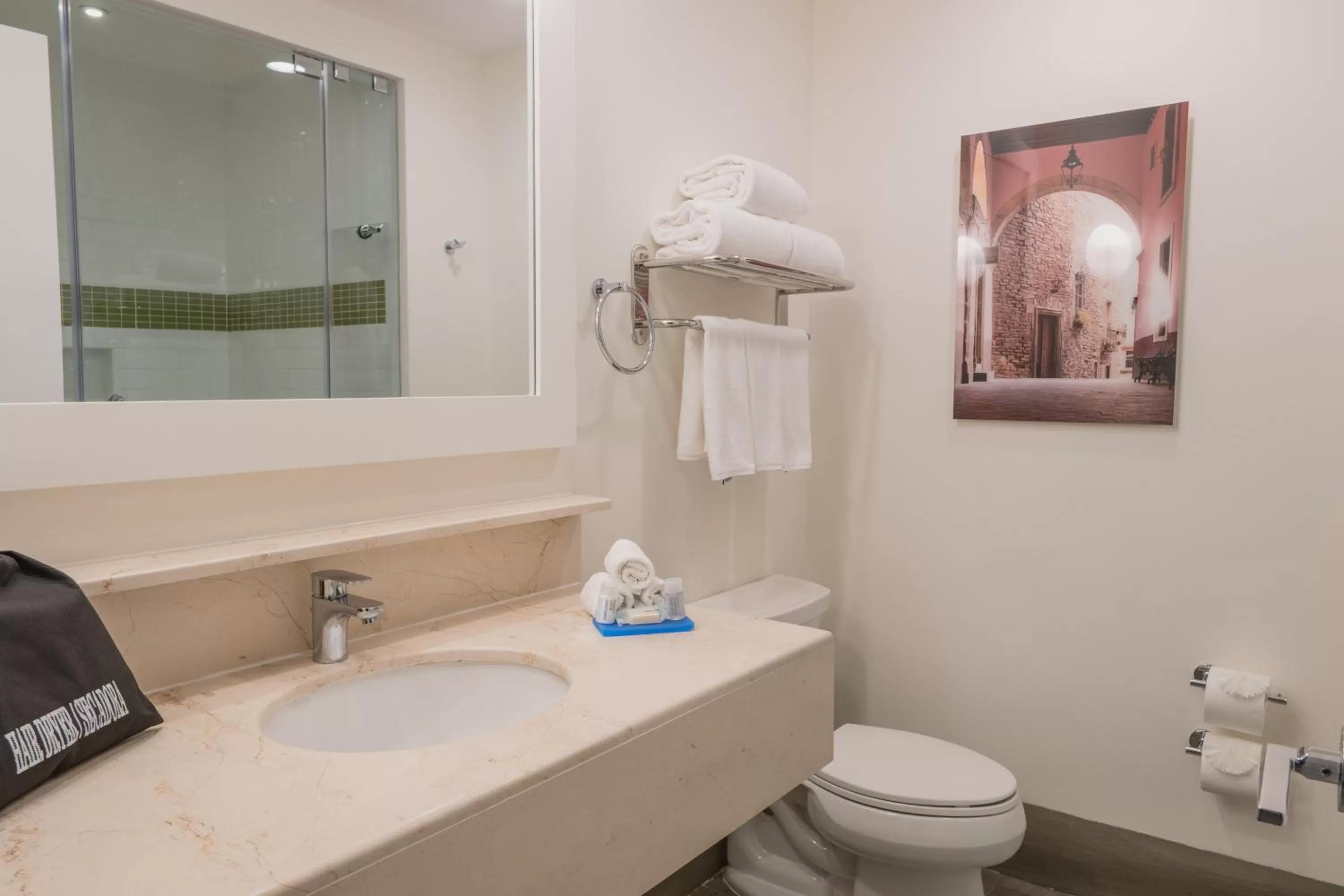 Bathroom in Holiday Inn Express & Suites Silao Aeropuerto Terminal by IHG