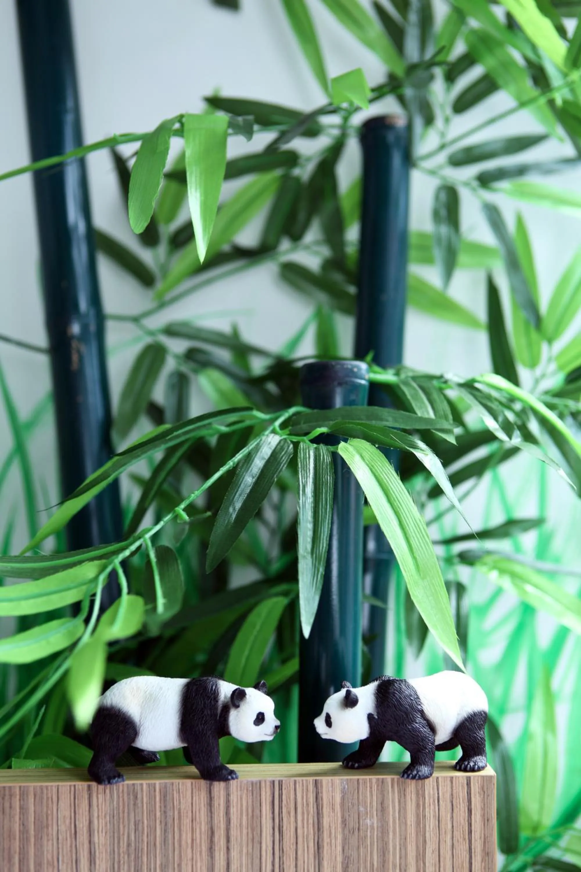 Photo of the whole room in Hotel Clover The Arts