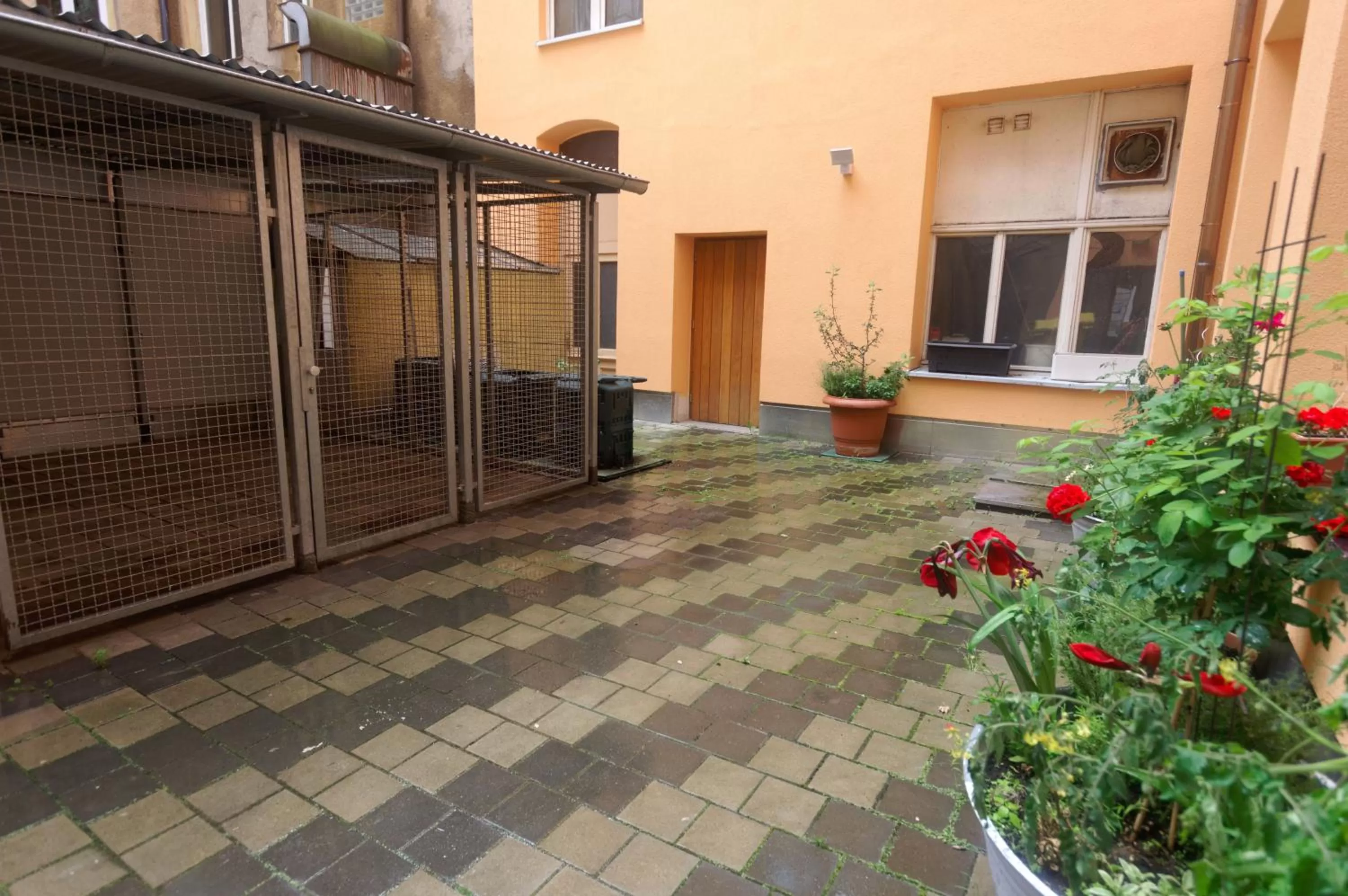 Patio in PrivatHotel Probst