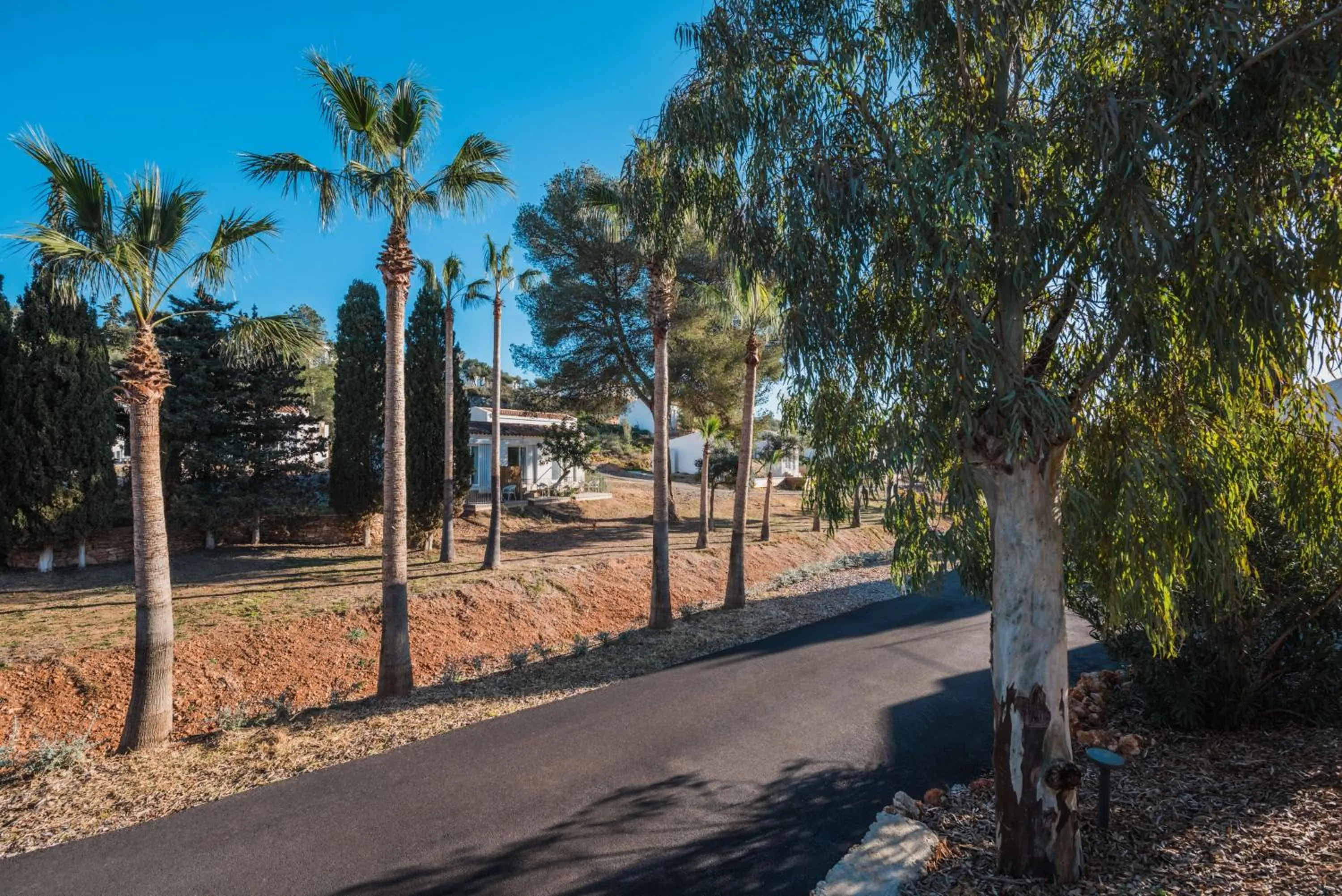 Balcony/Terrace in Iberostar Waves Cala Domingos All Inclusive