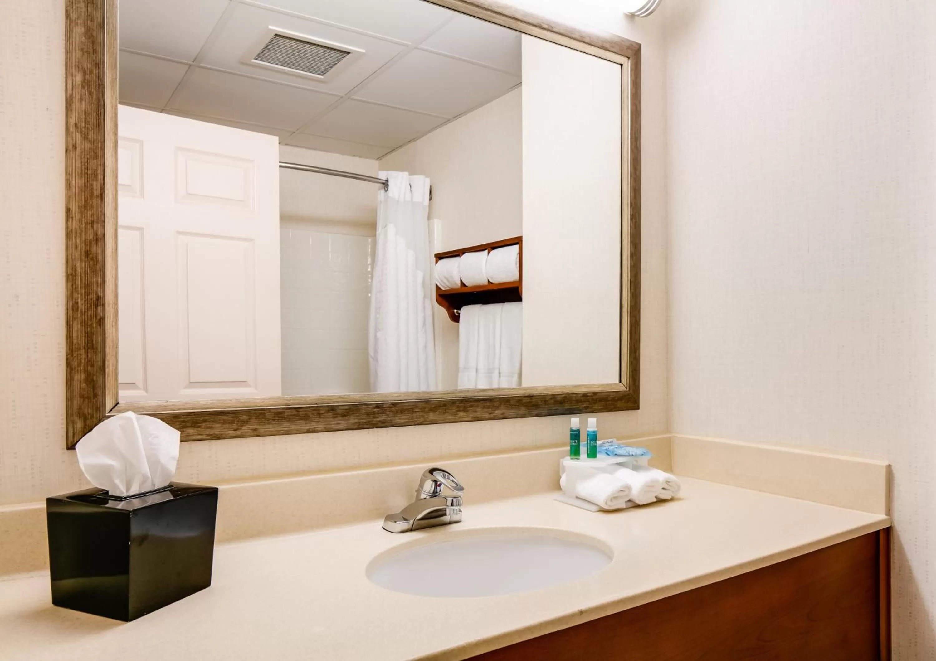Bathroom in Holiday Inn Express Hotel & Suites Coralville by IHG