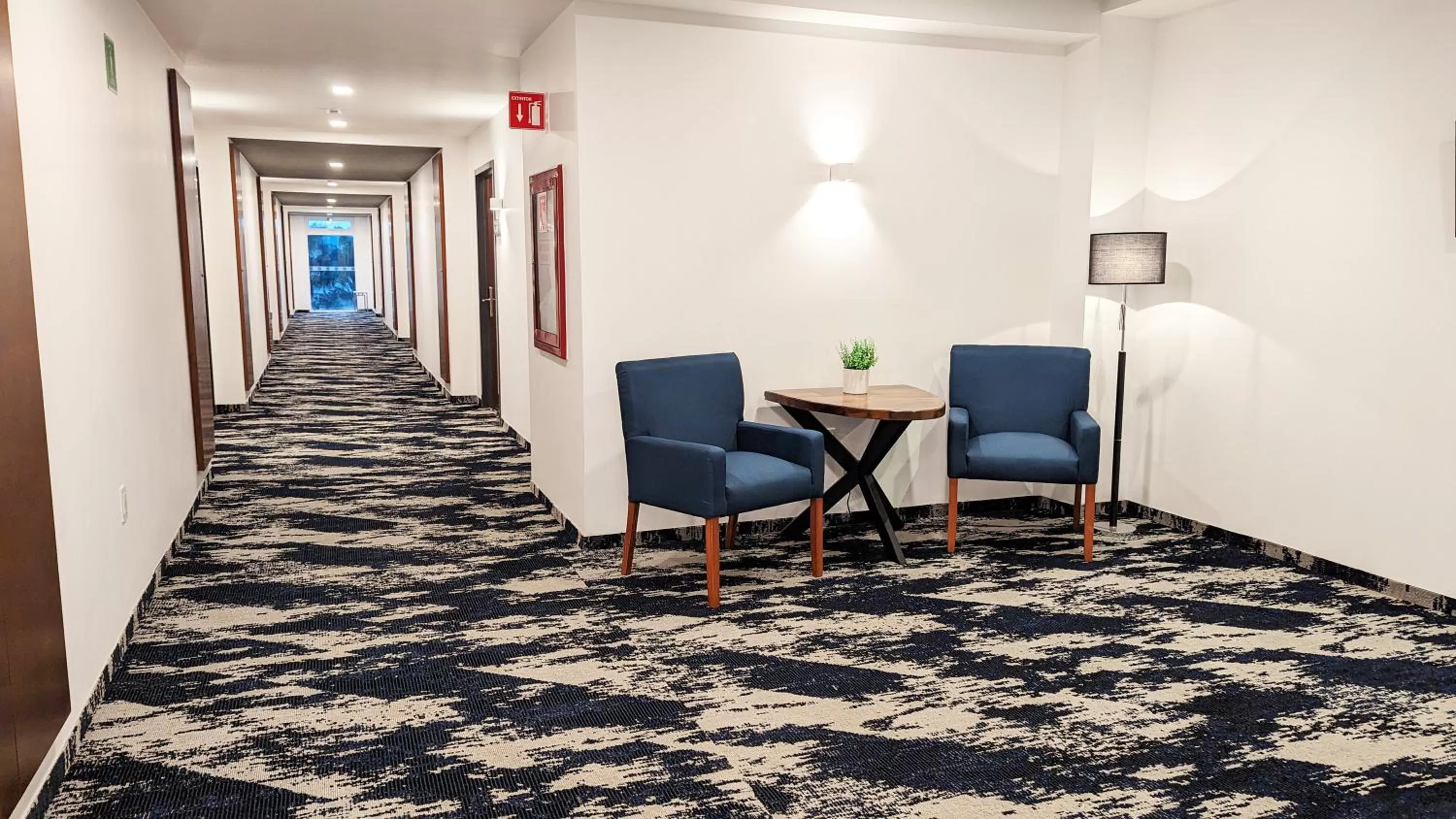 Area and facilities in Hotel Fray Select