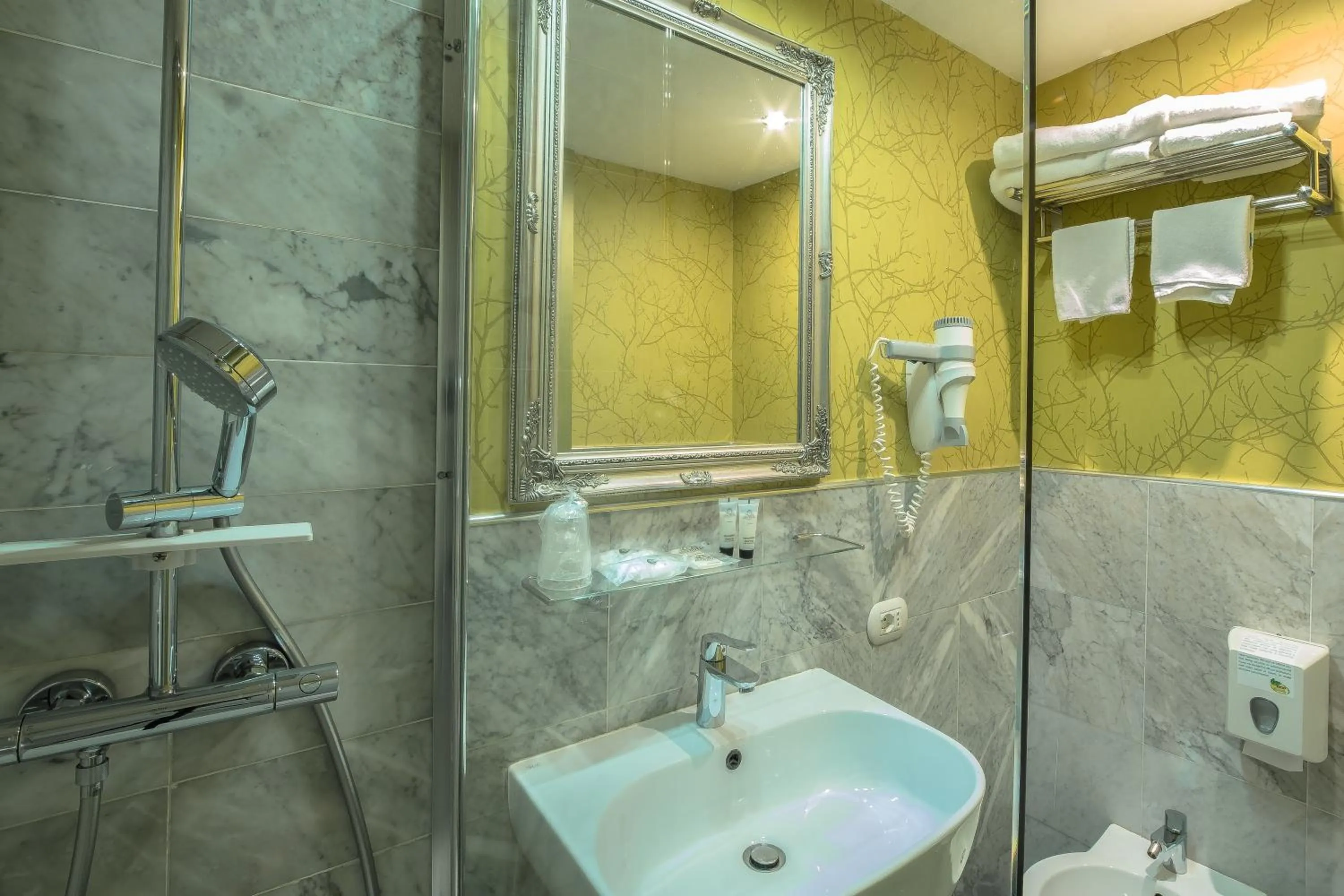 Standard Single Room in Canova Hotel