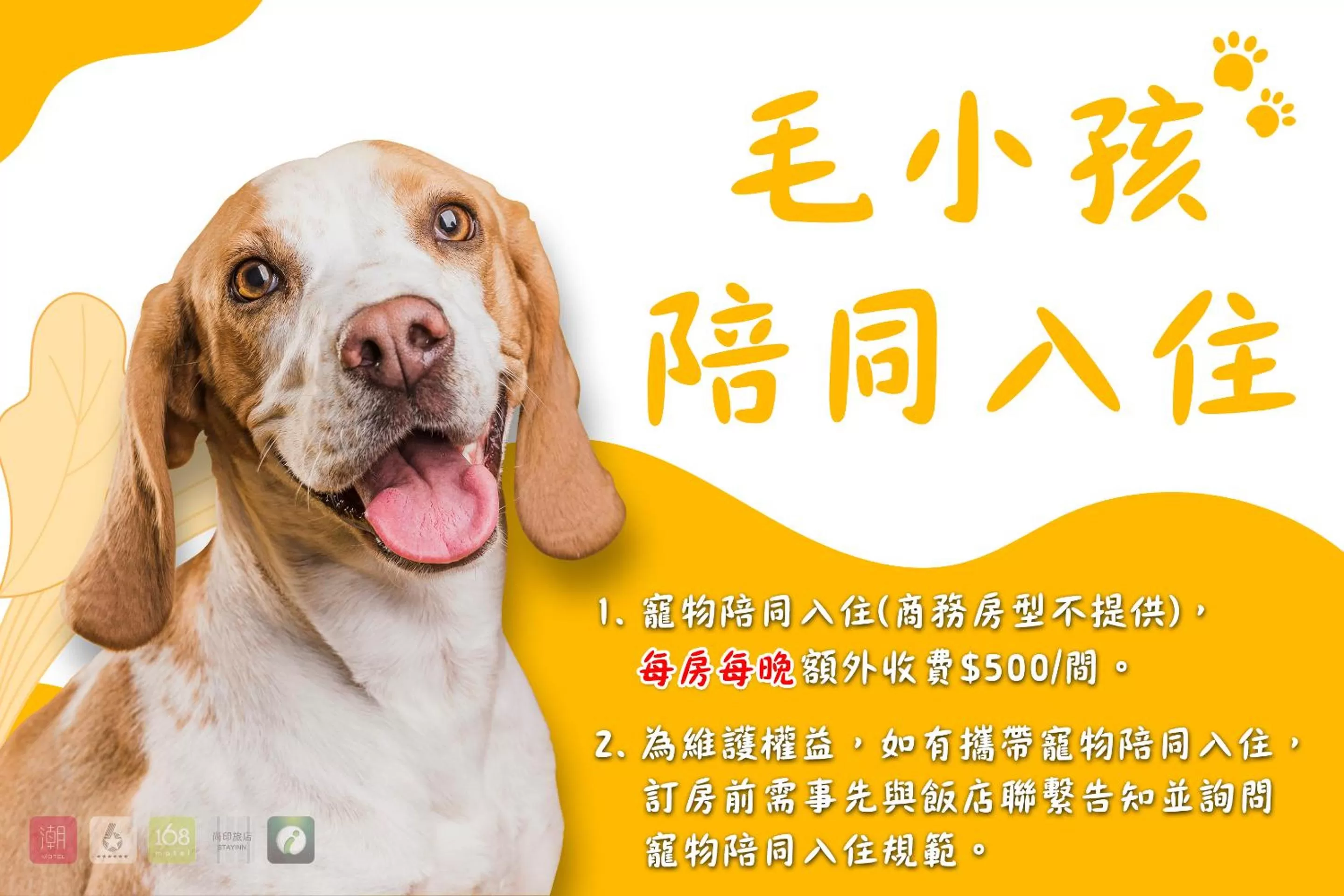 Pets in 168 Motel-Hsinchu