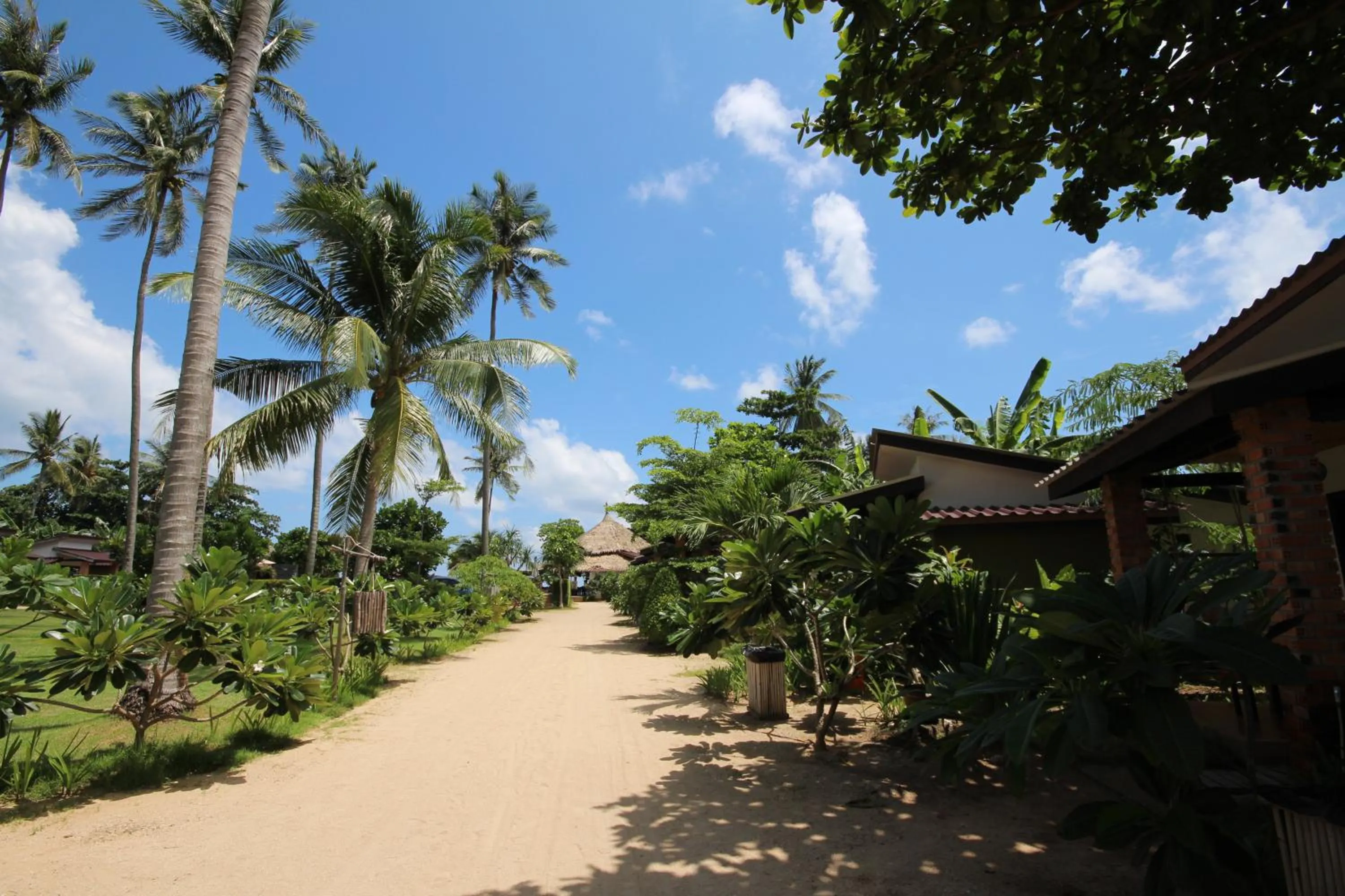 On site in Coco Lanta Resort - SHA Extra Plus