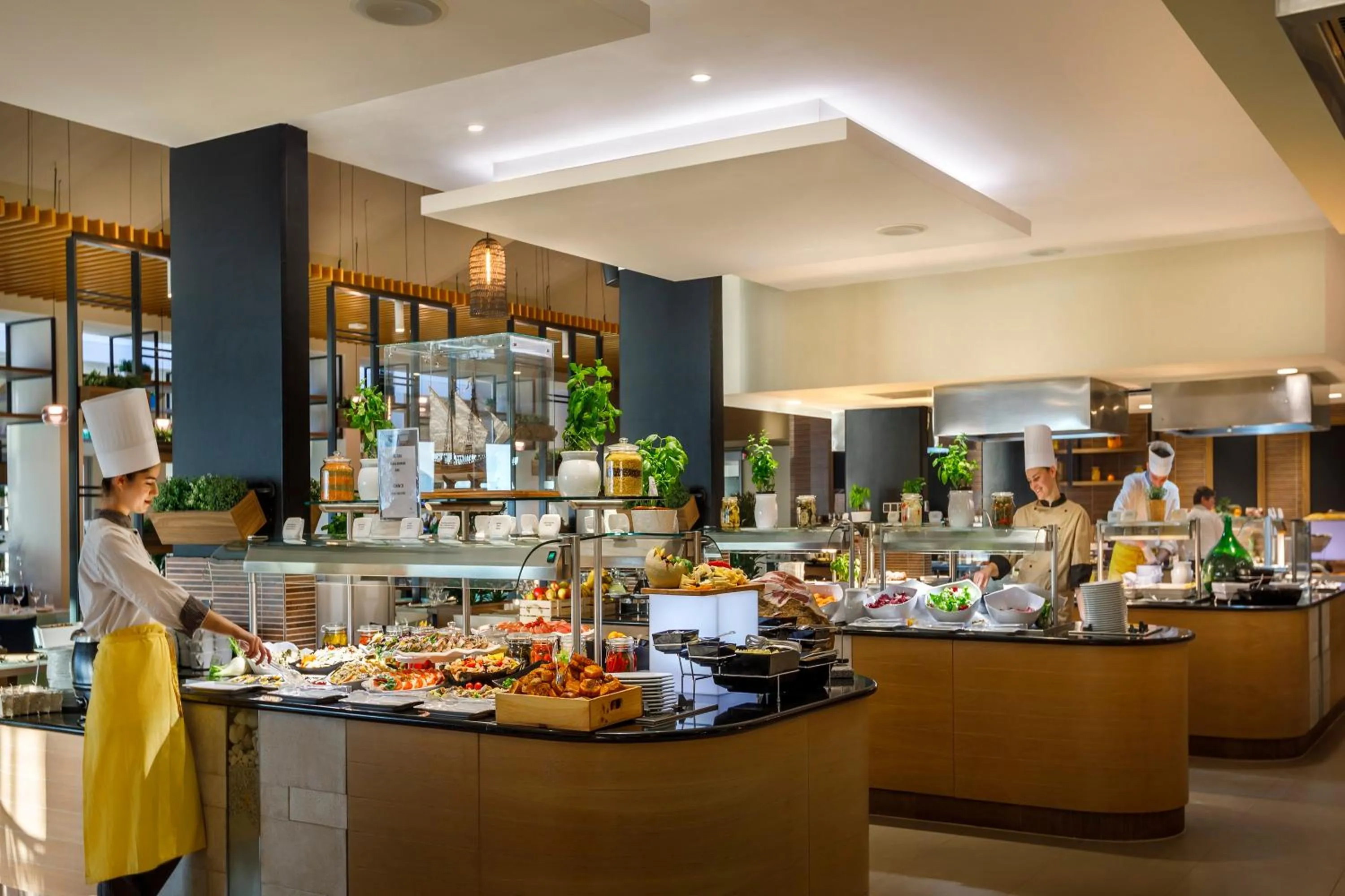 Restaurant/places to eat in Valamar Argosy Hotel