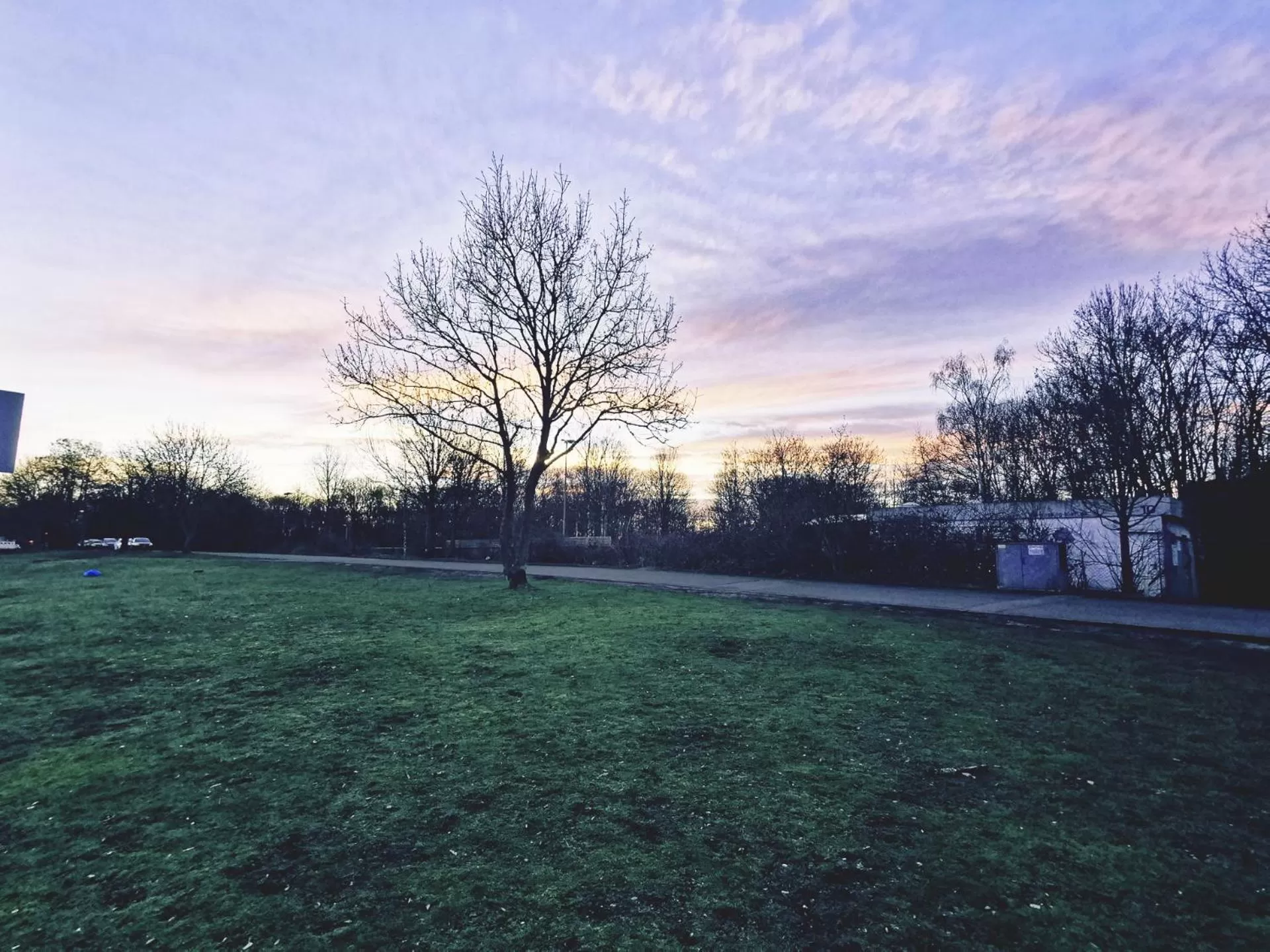 Natural landscape in Hotel Fortune