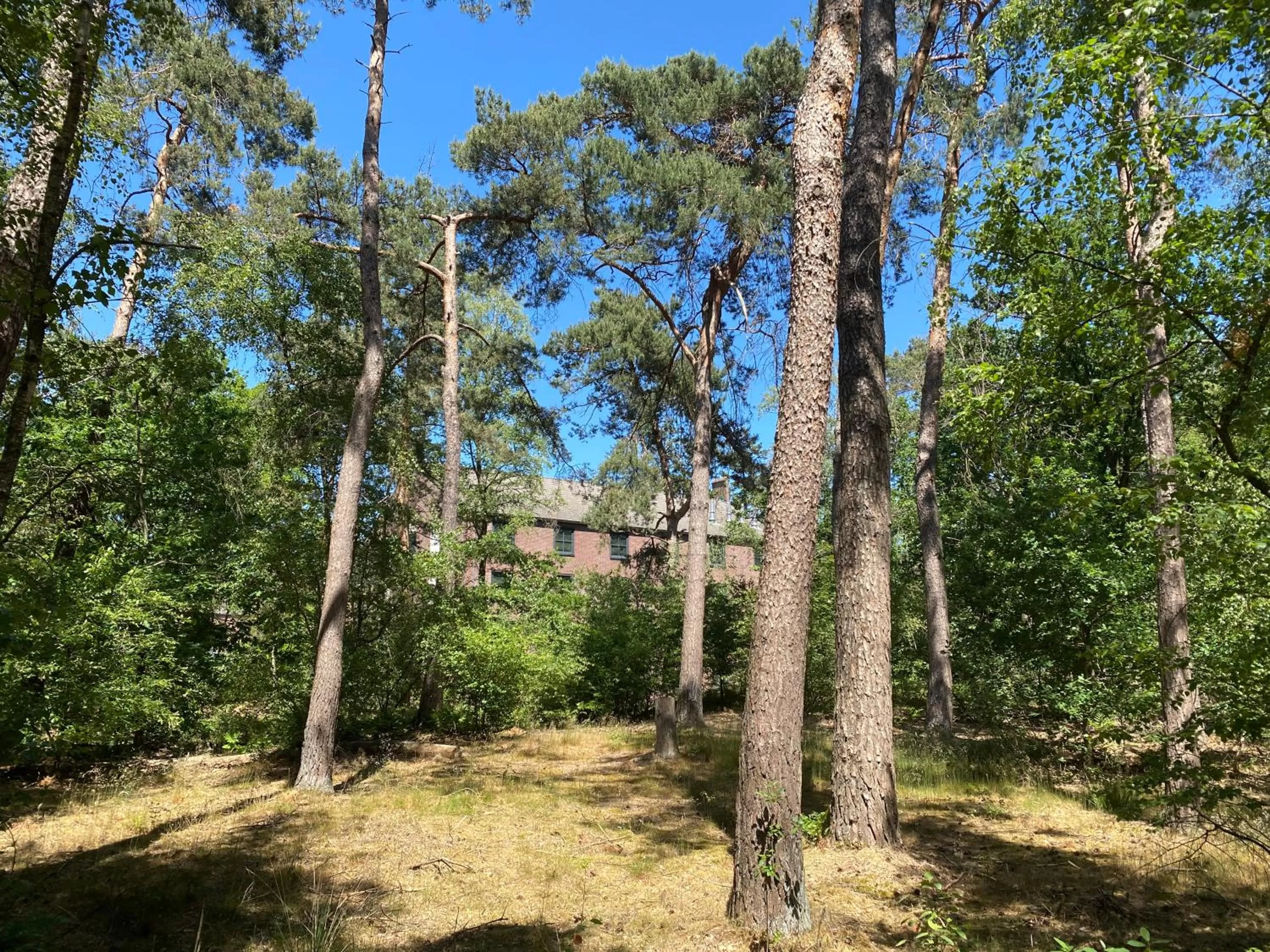 Spring in Hotel Kapellerput Heeze-Eindhoven