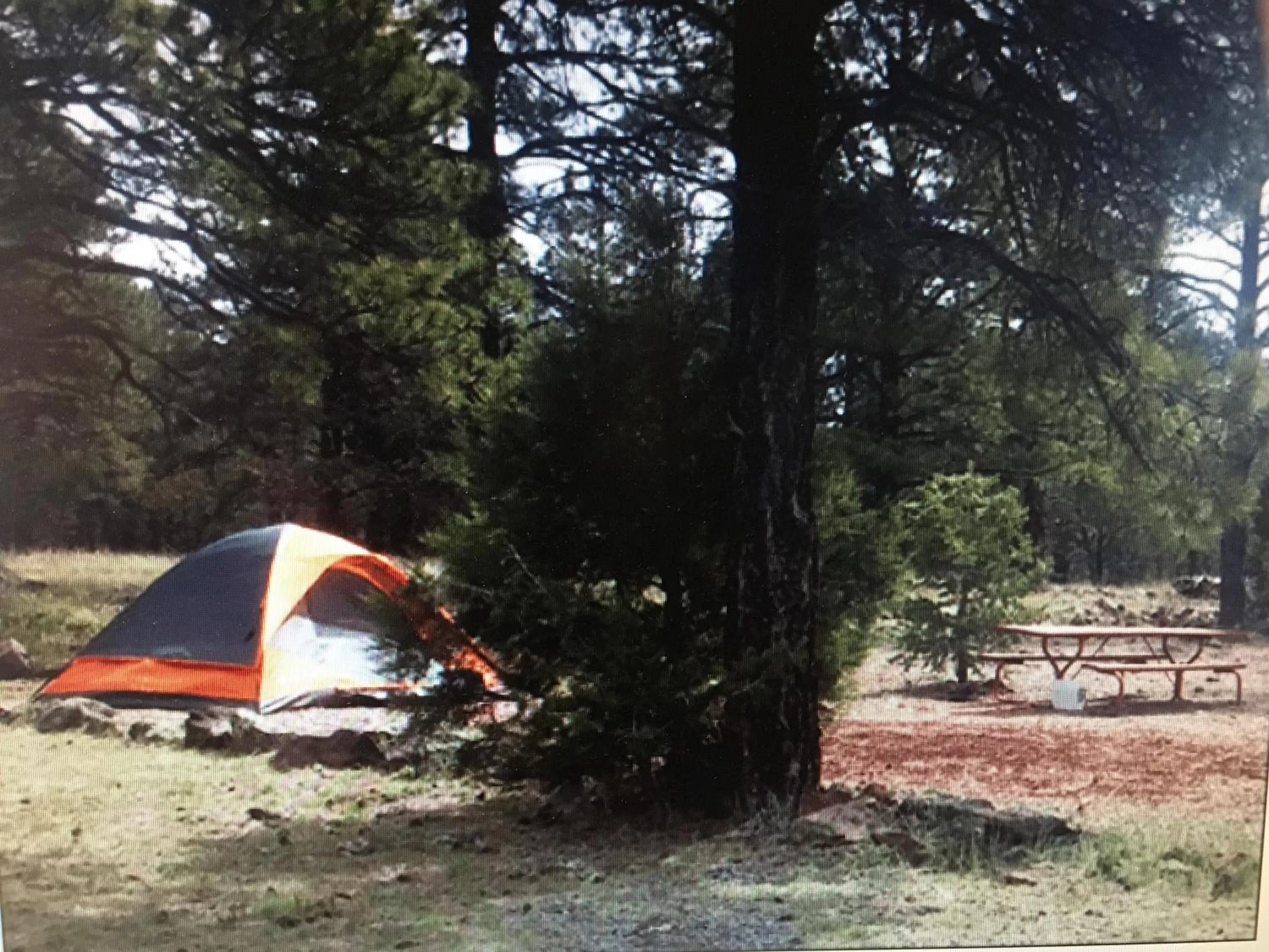 Natural landscape in The Canyon Motel & RV Park