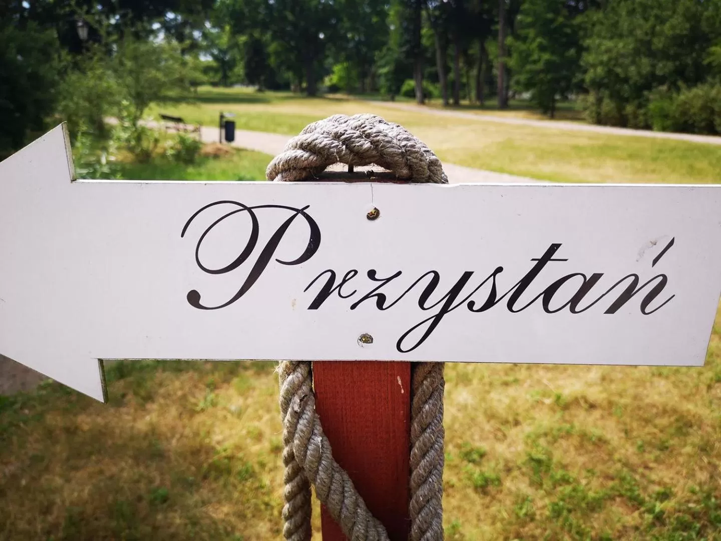 Activities in Pałac Wiejce