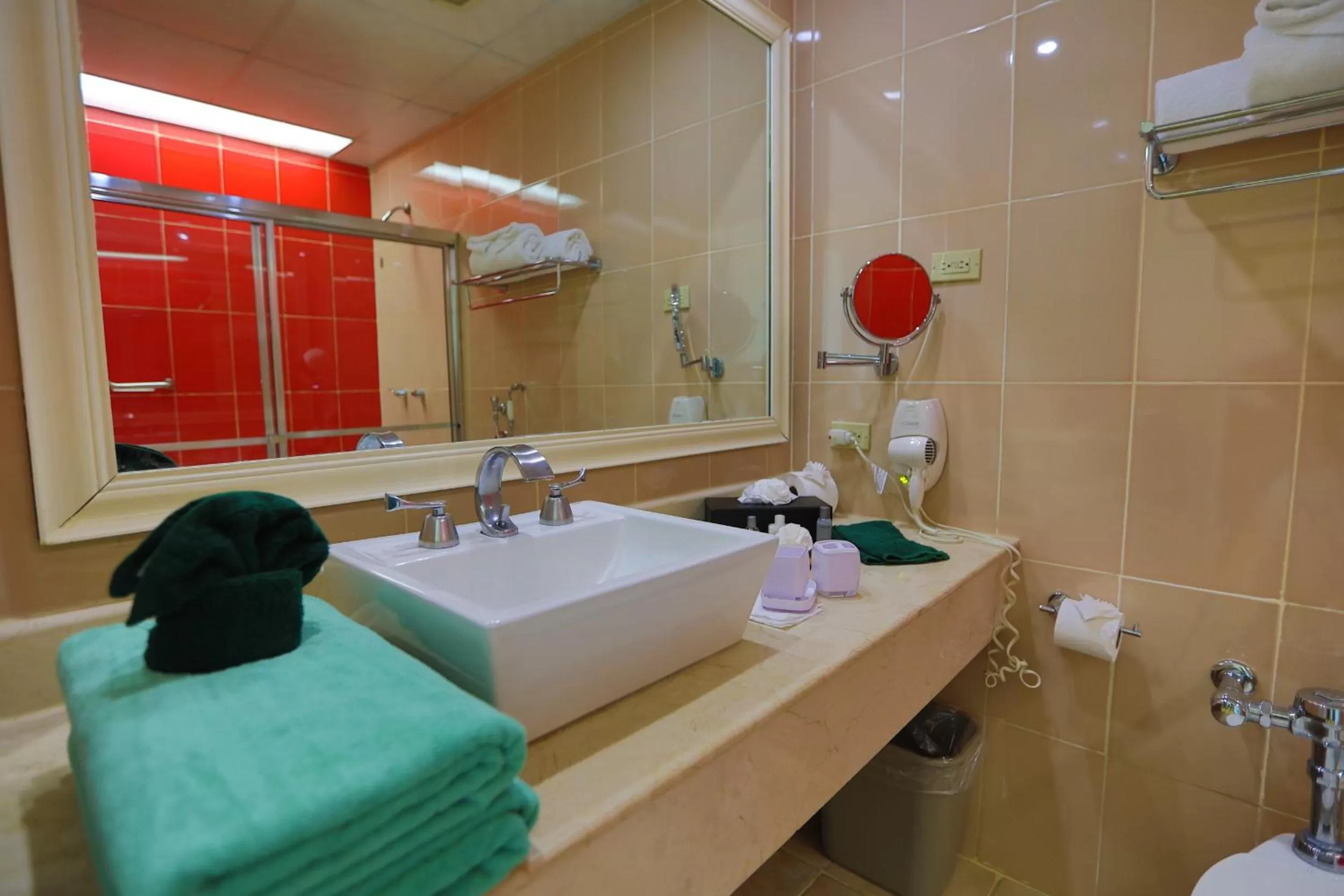 Bathroom in Playa Tortuga Hotel and Beach Resort