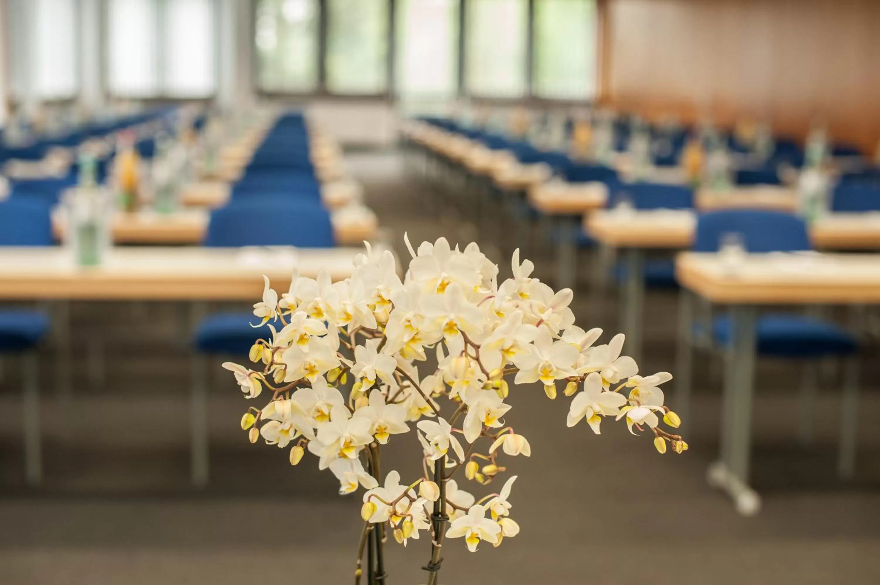 Banquet/Function facilities in Atrium im Park Hotel Regensburg