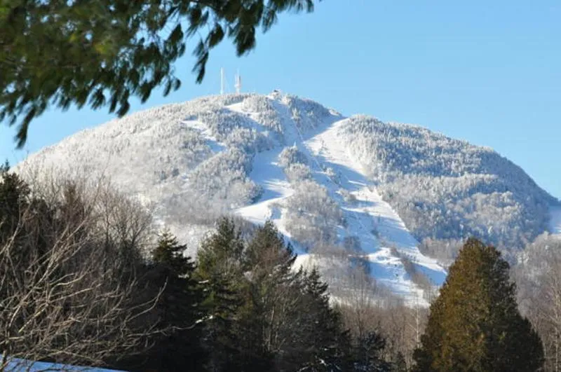 View (from property/room) in Condos Hotel Lion D'Or