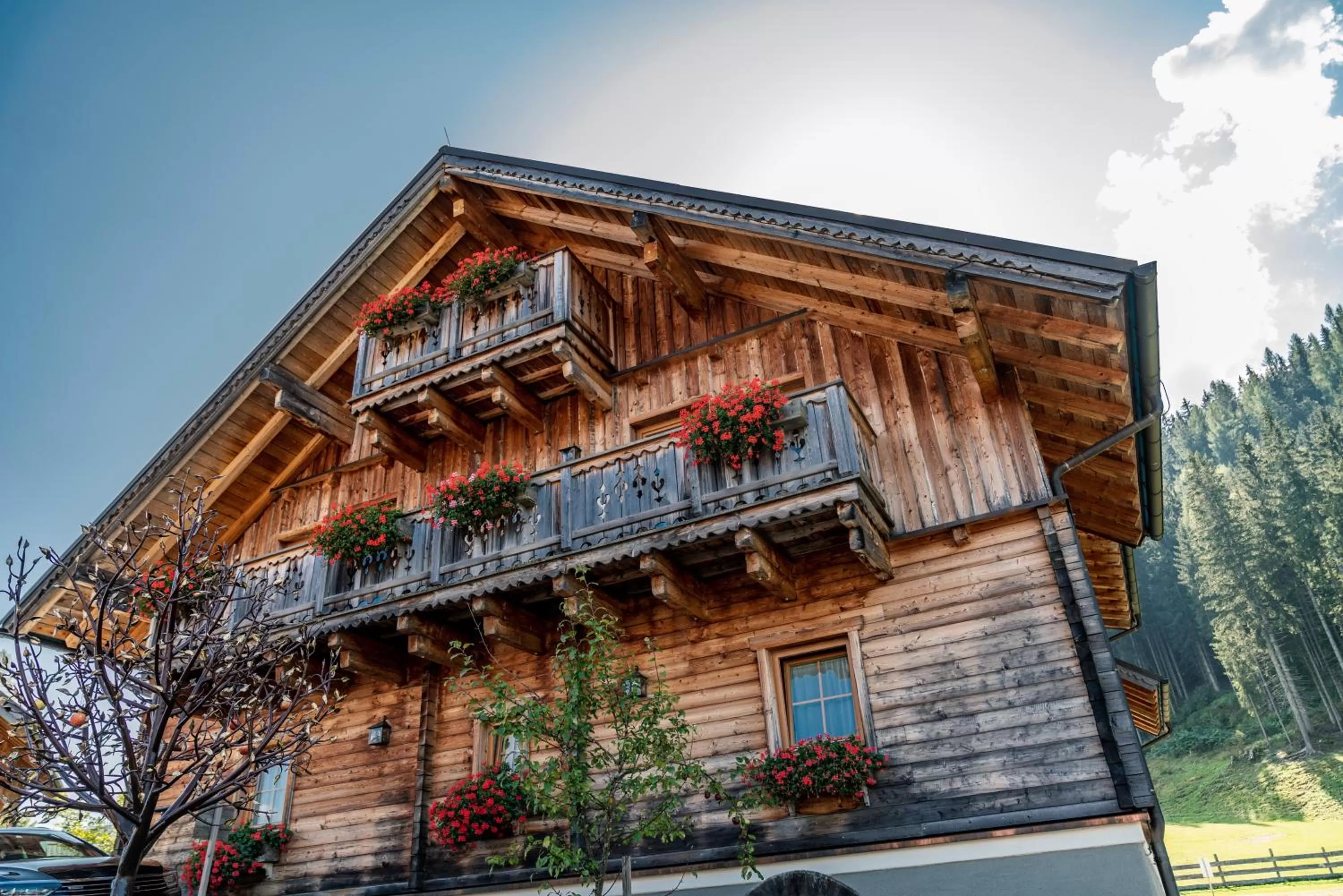 Summer in Almwelt Austria