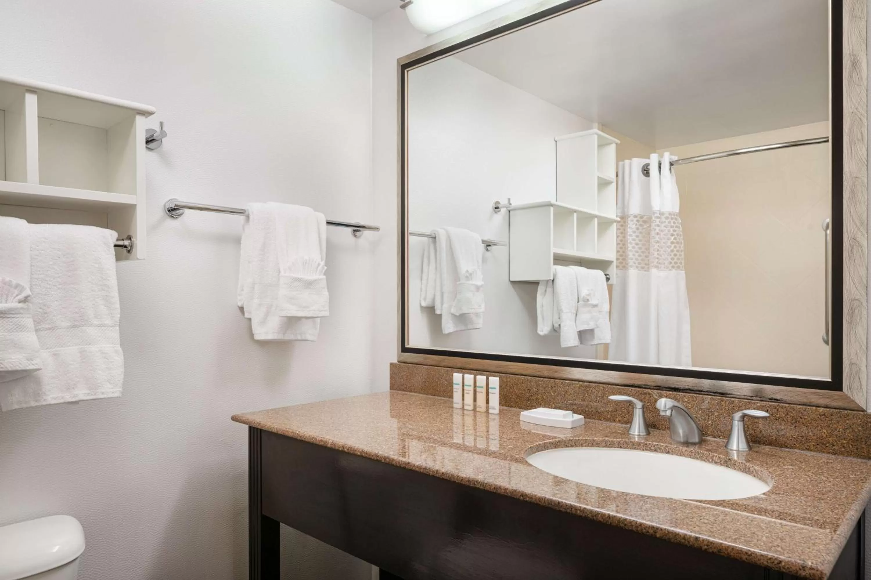 Toilet in Hampton Inn Loveland