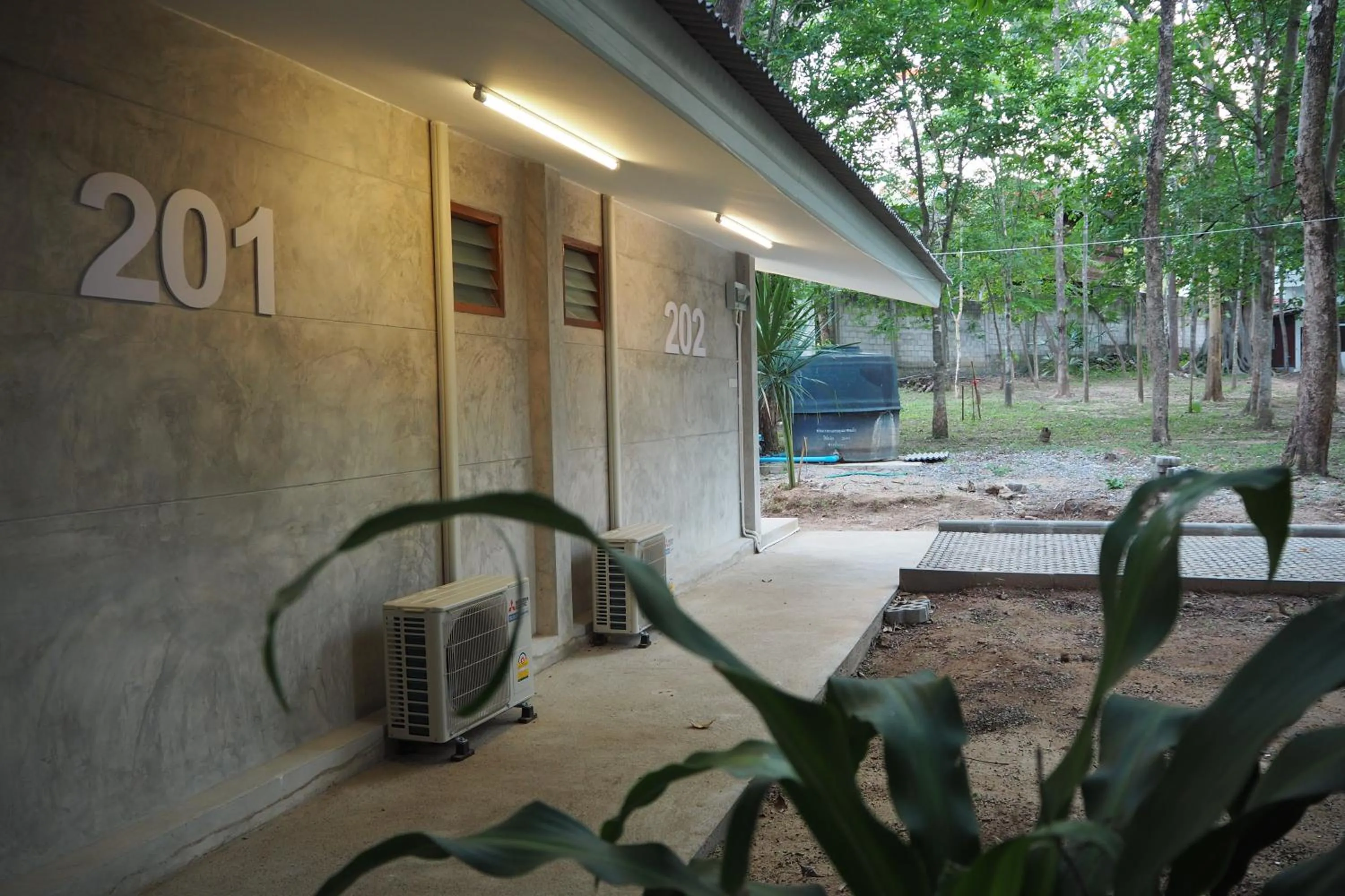 Garden view in Insight Hostel